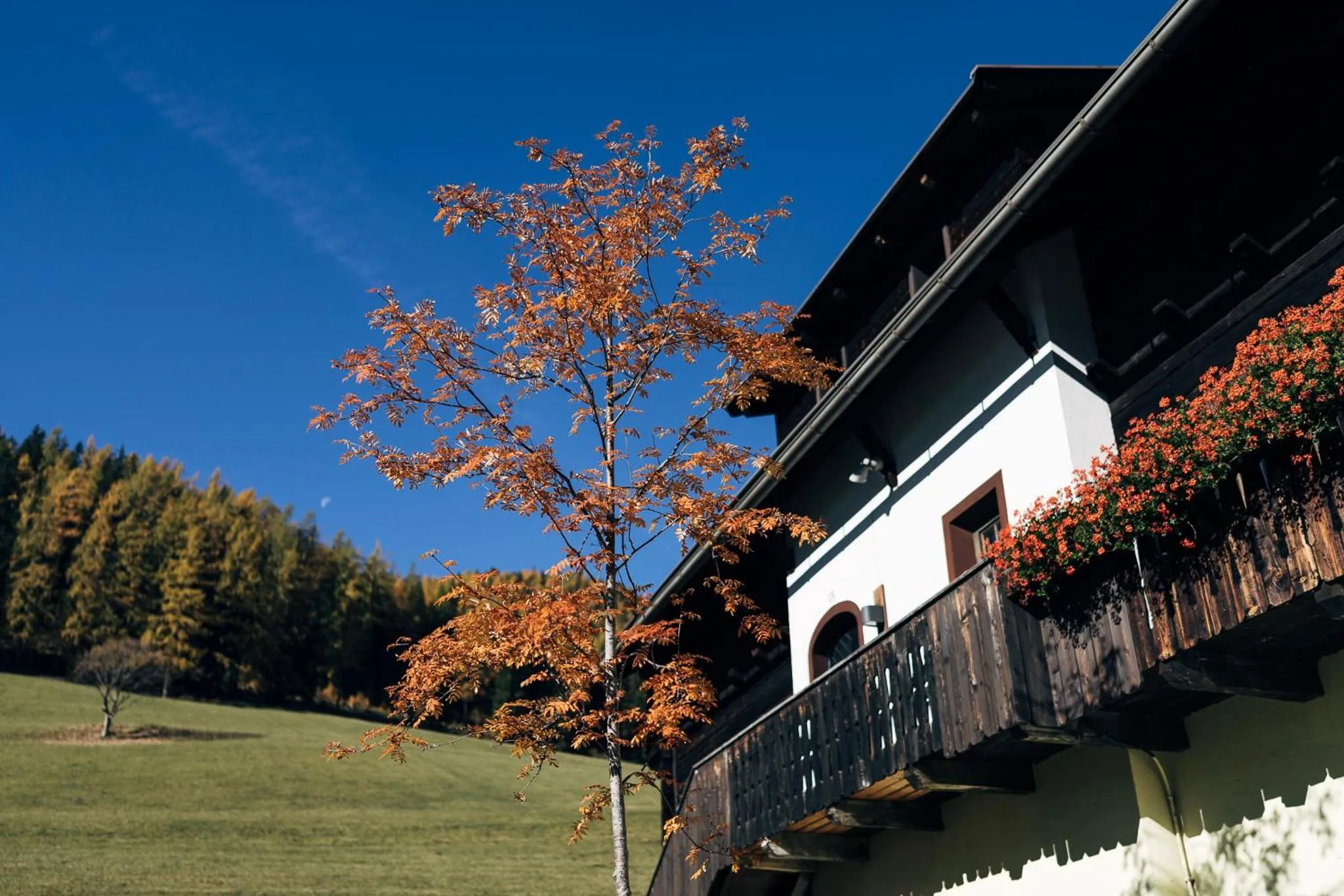 Property building in Slow Travel Resort Kirchleitn - OBERKIRCHLEITN