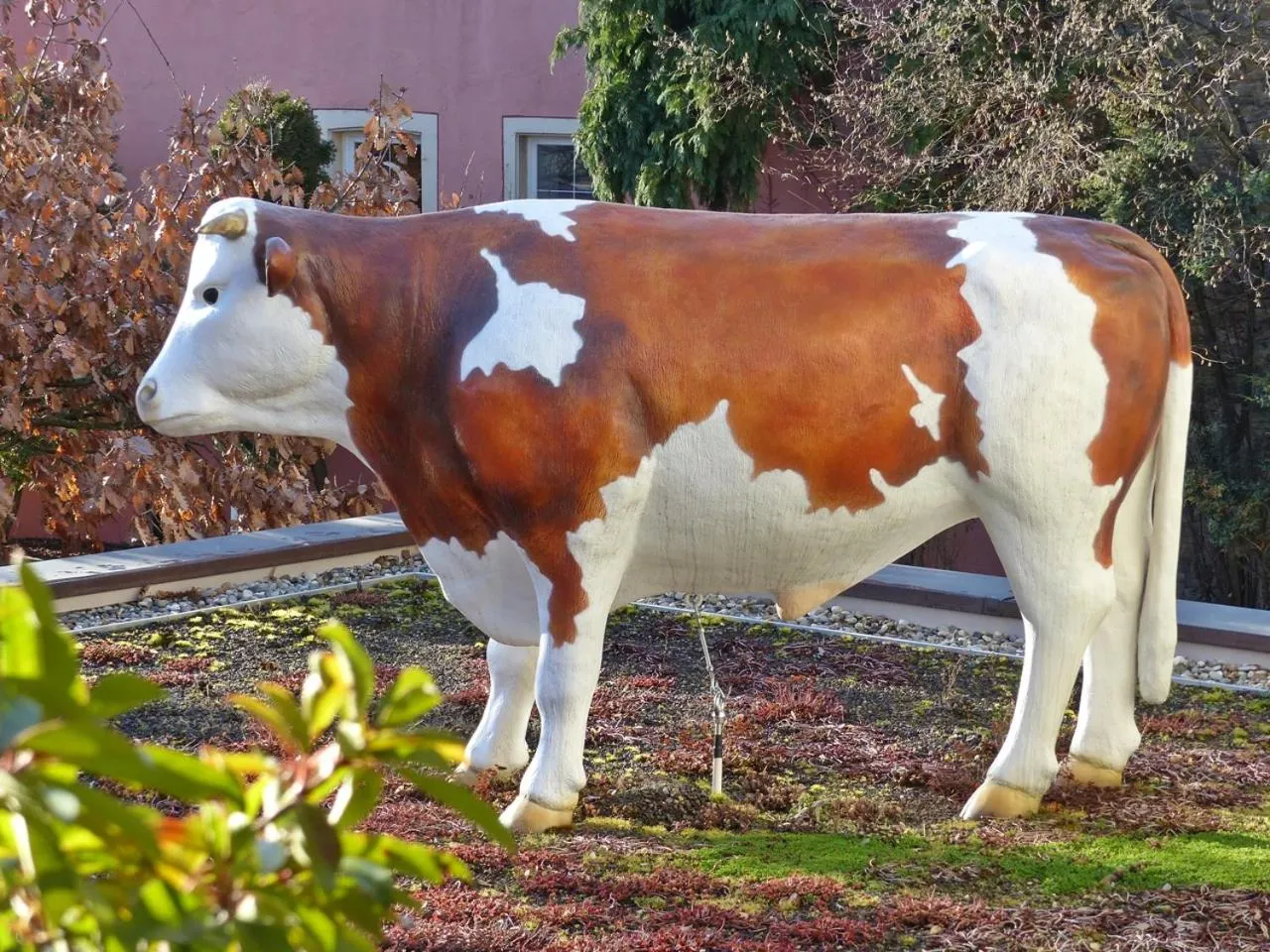 Facade/entrance in Hotel-Restaurant zum Ochsen