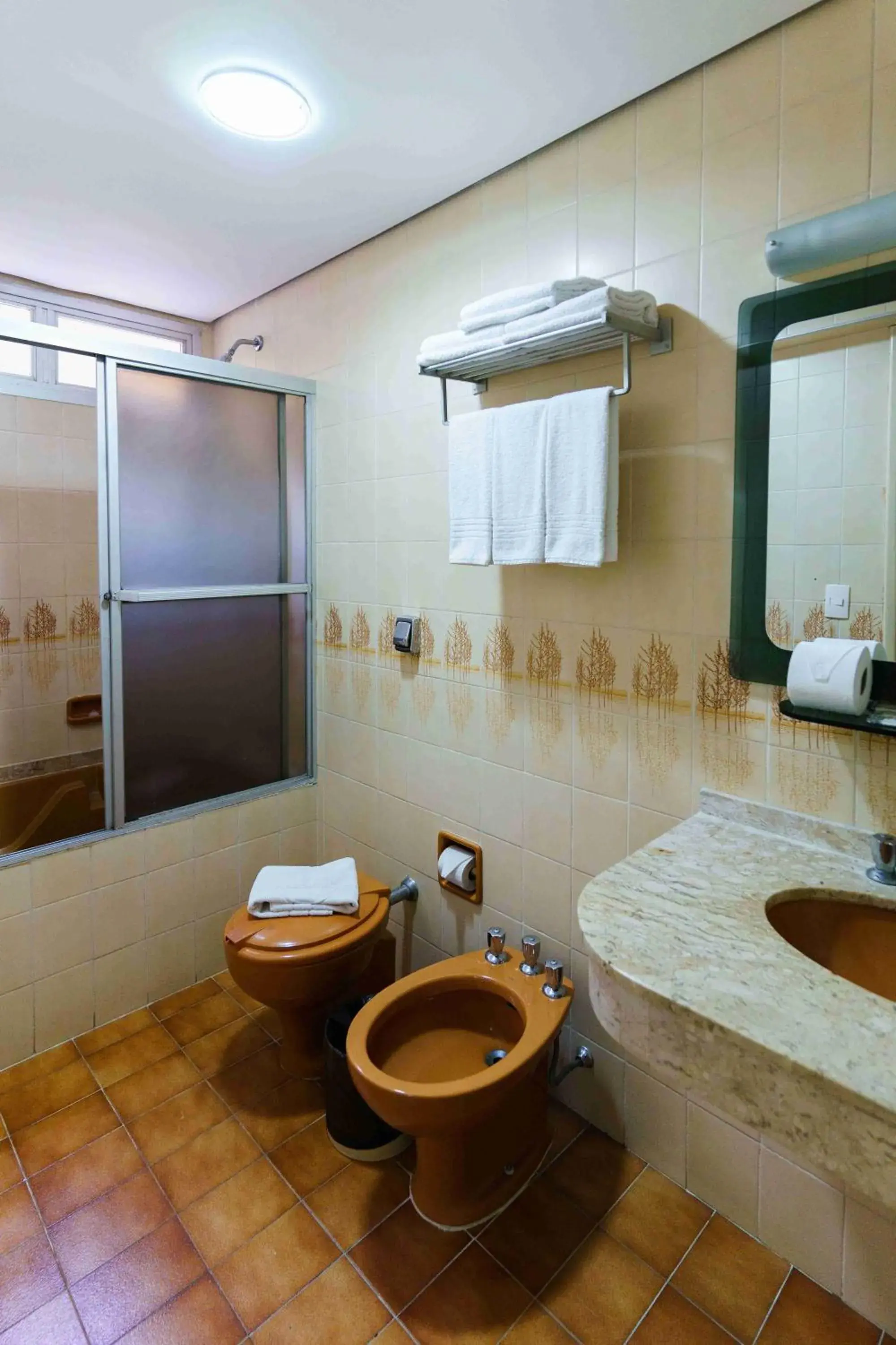 Suite in Hotel Pan Americano Suite in Hotel Pan Americano