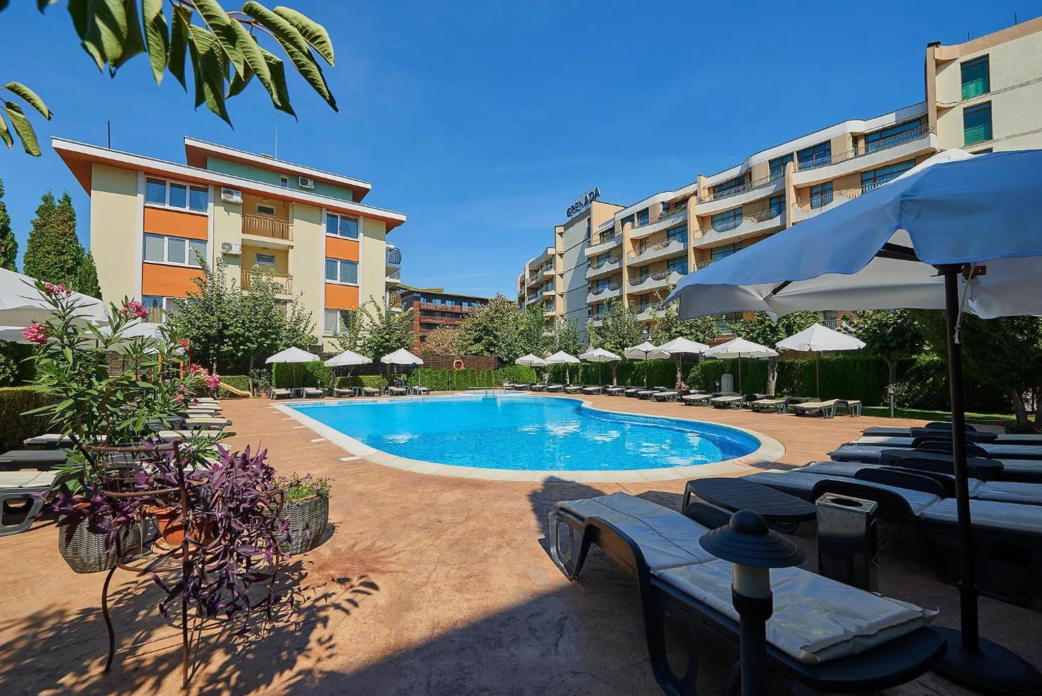 Swimming pool in Sunny Beach Hotel Forum - All Inclusive