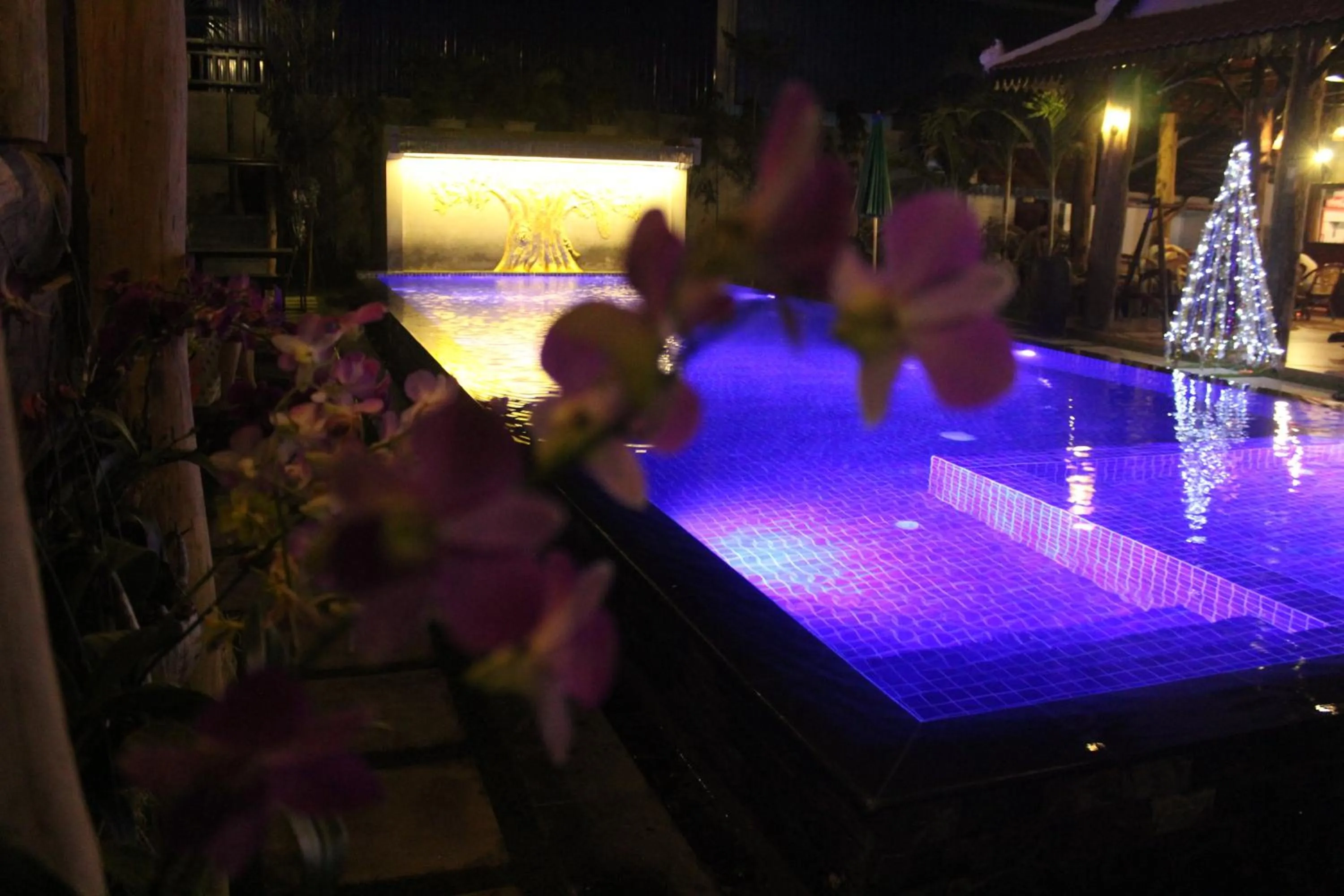 Garden view in Moloppor Villa