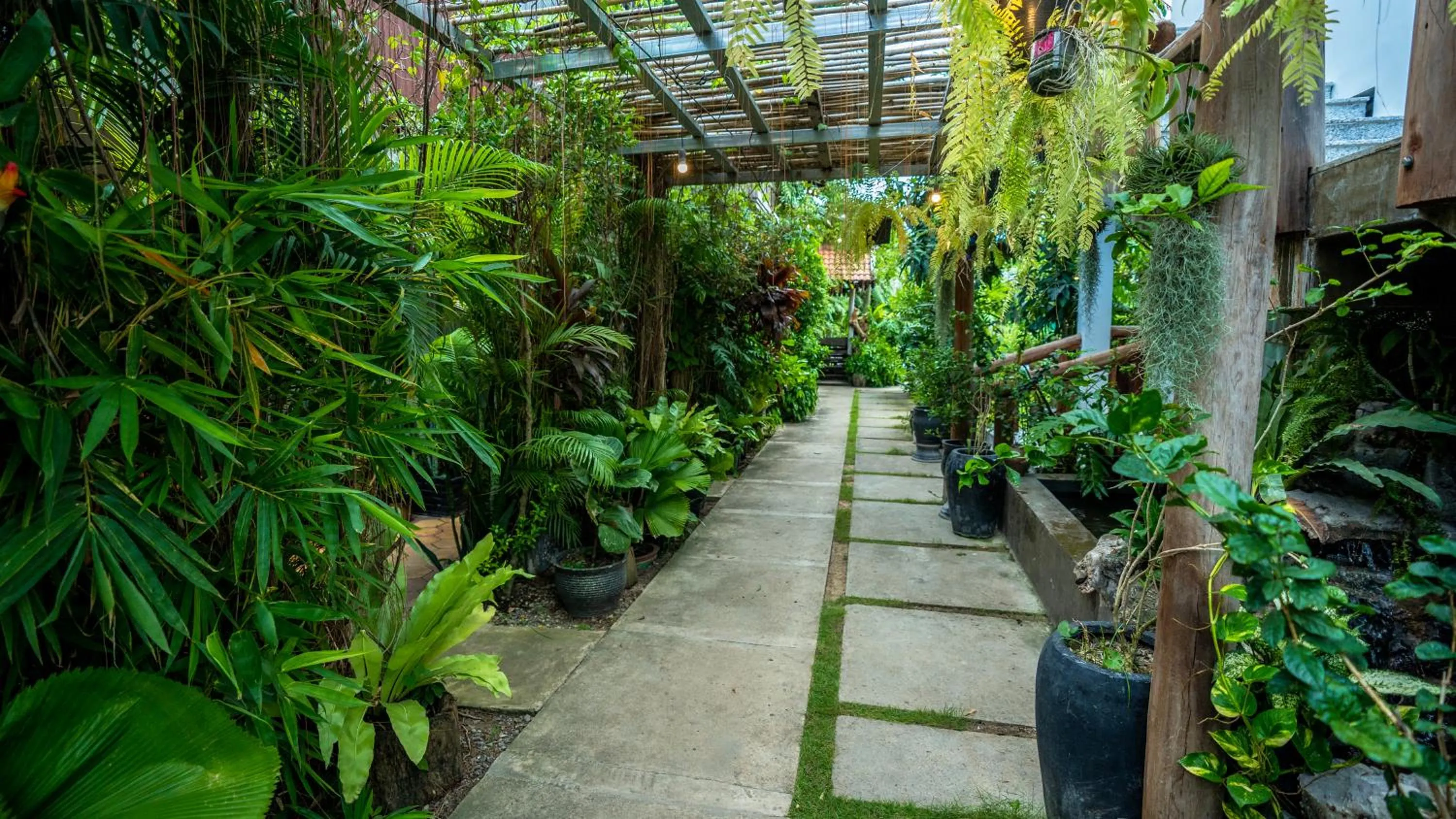 Natural landscape in Moloppor Villa