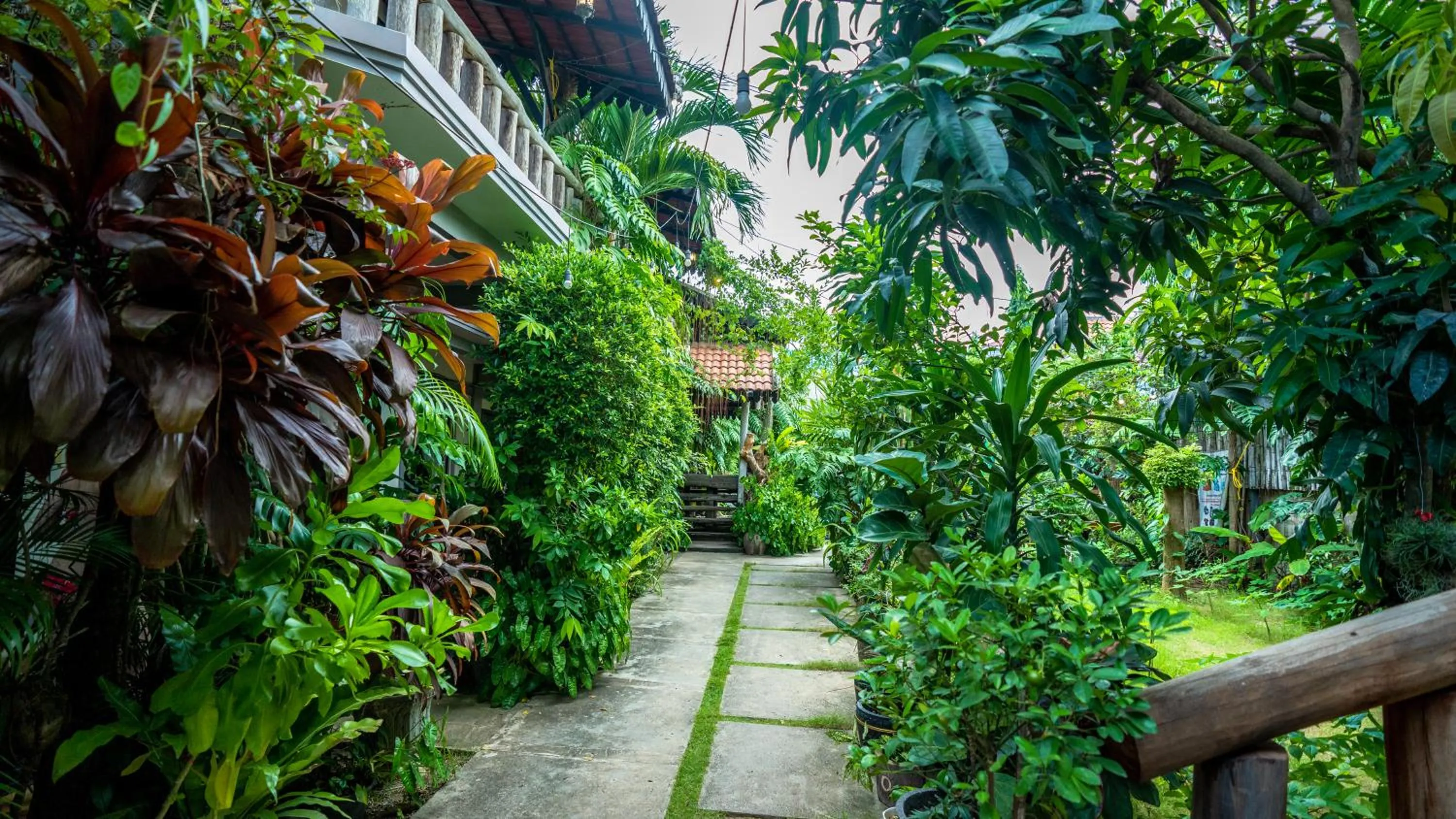 Natural landscape in Moloppor Villa