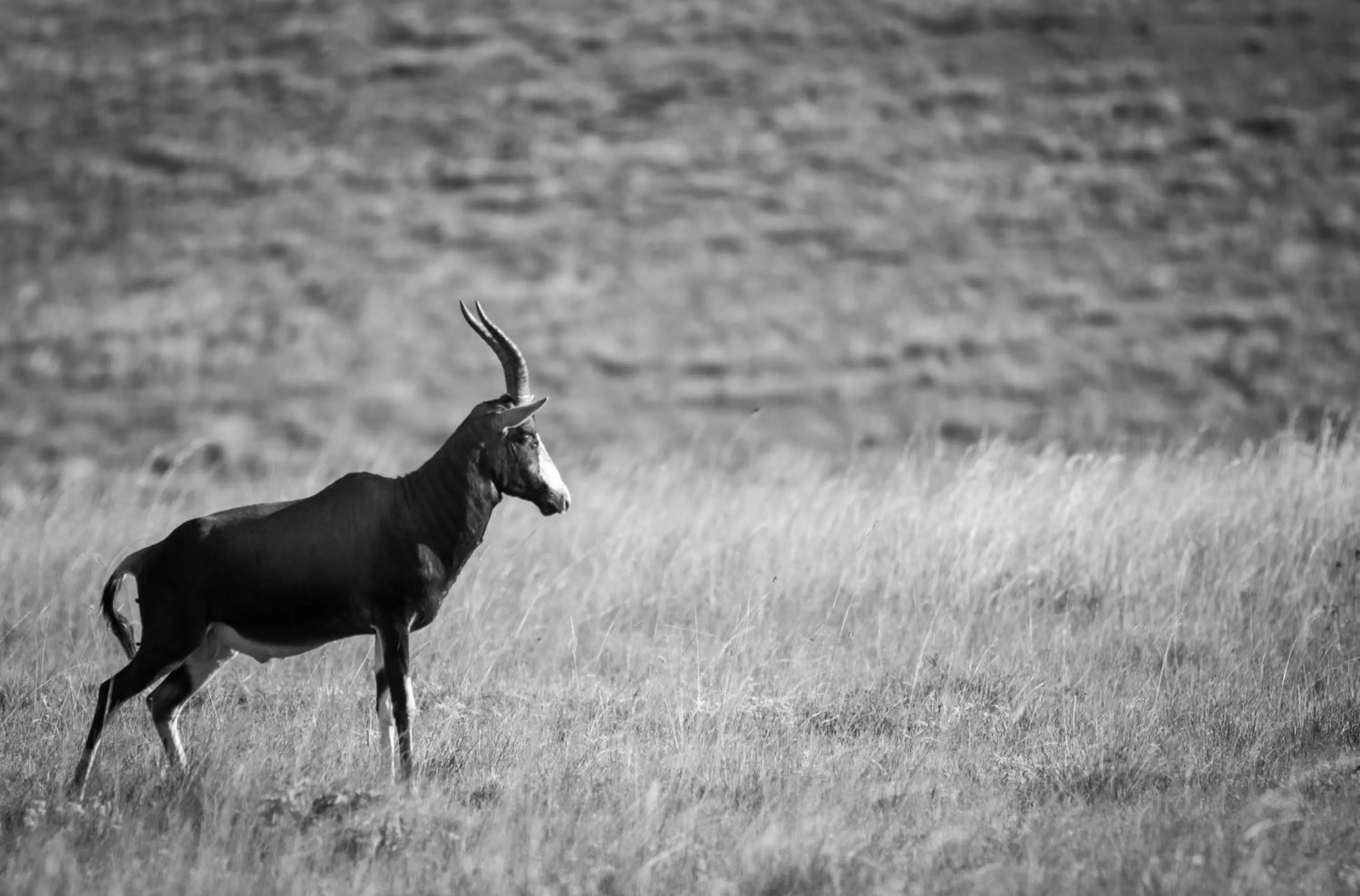 Activities in 26° South Bush Boho Hotel