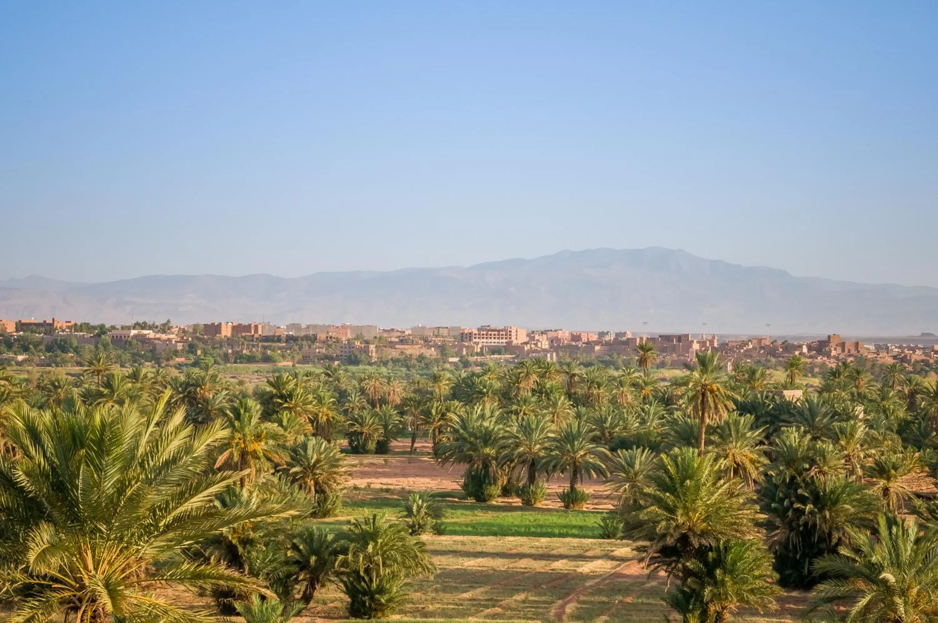 View (from property/room) in Dar Chamaa