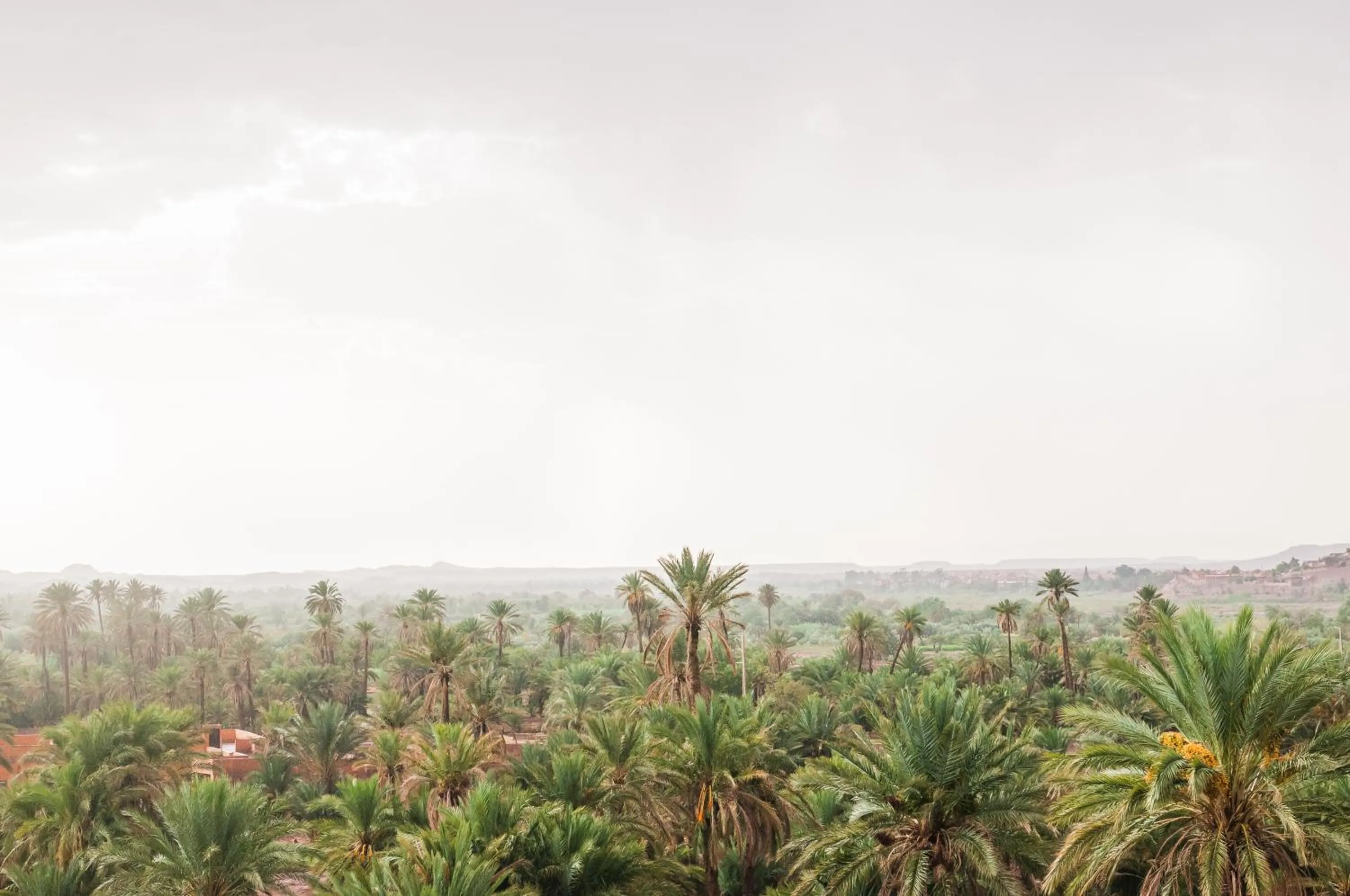 View (from property/room) in Dar Chamaa