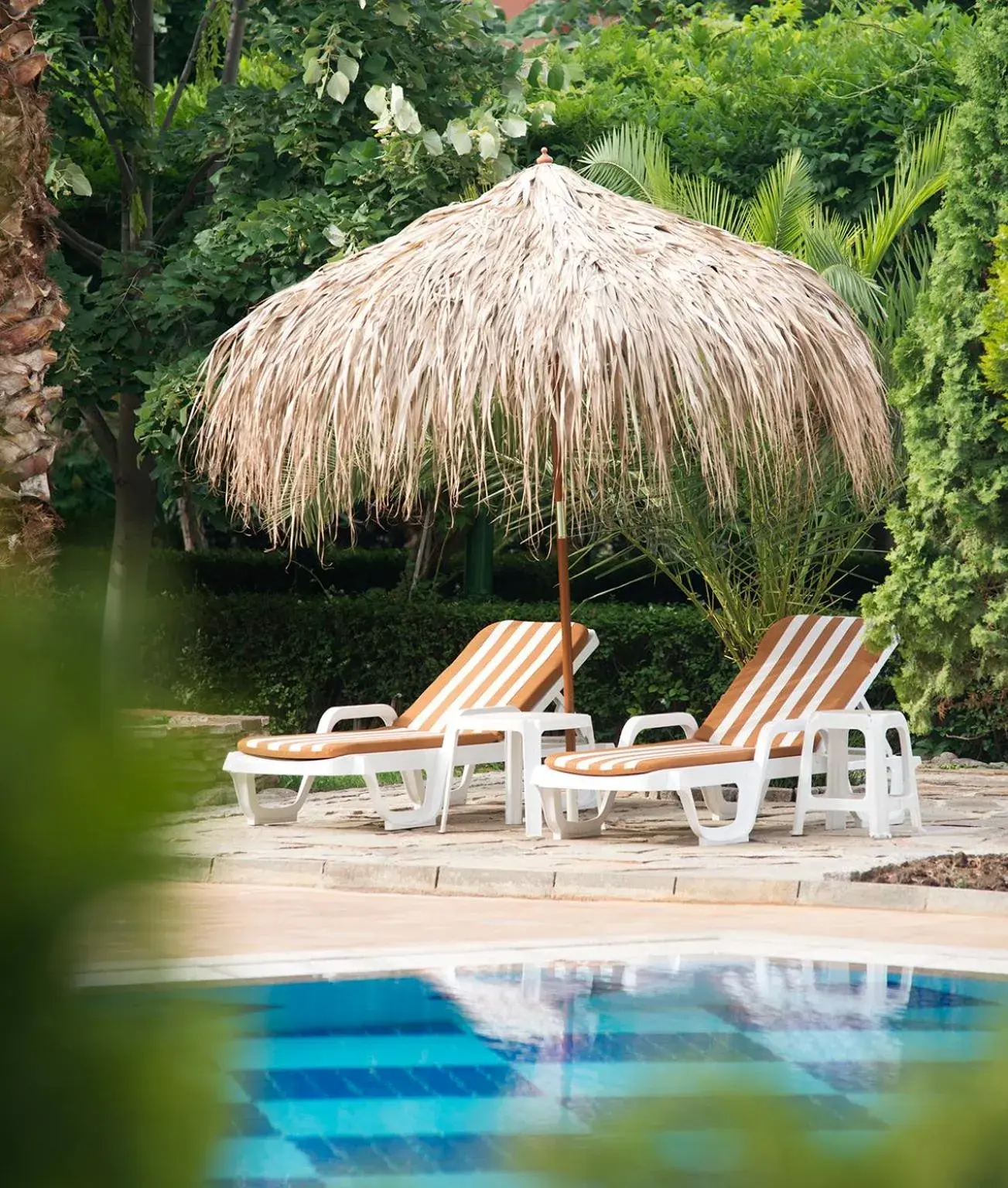 Property building in Hotel Alba - All inclusive Property building in Hotel Alba - All inclusive