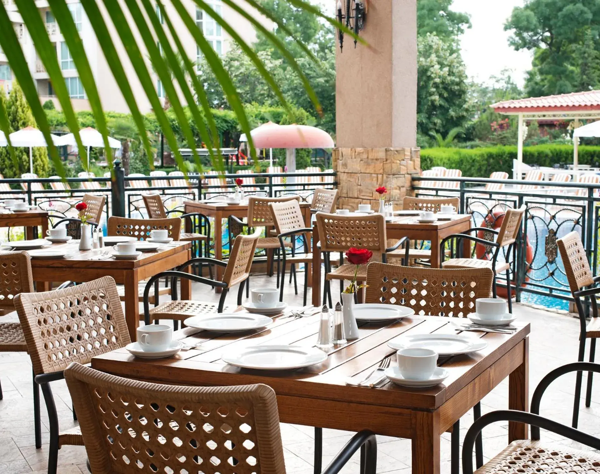 Restaurant/places to eat in Hotel Alba - All inclusive Restaurant/places to eat in Hotel Alba - All inclusive