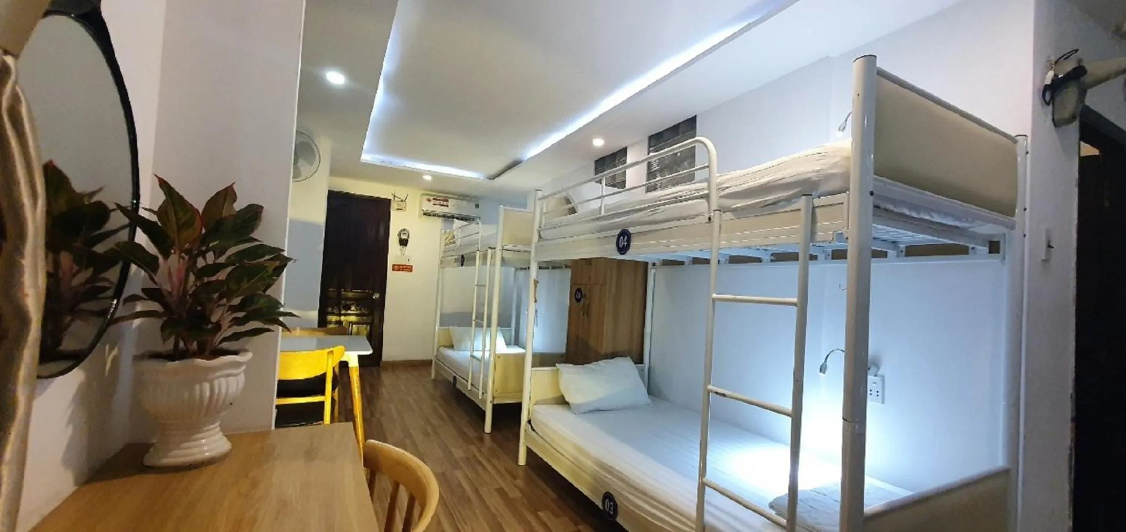 bunk bed in City Backpackers Hostel