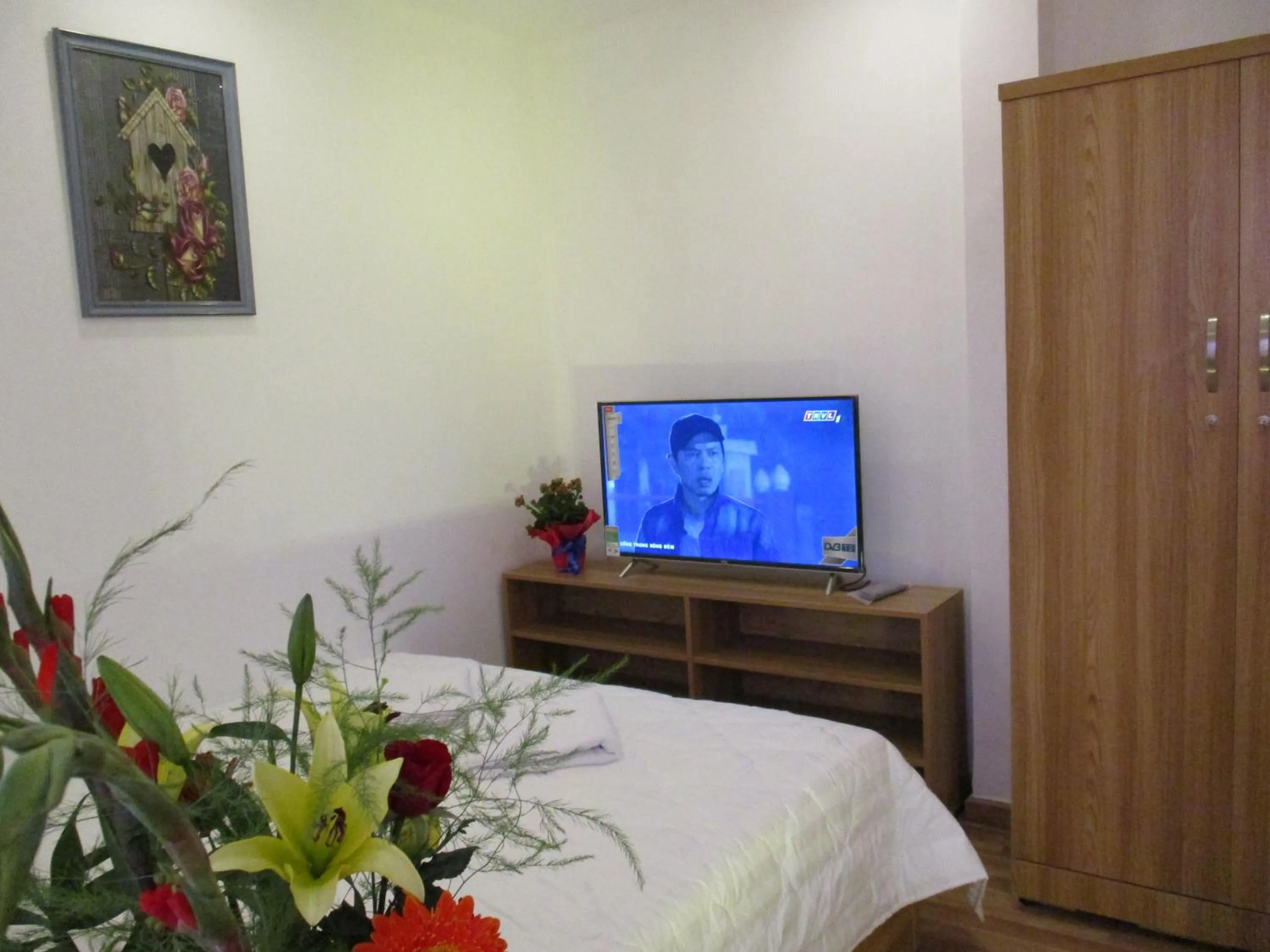 TV and multimedia in City Backpackers Hostel