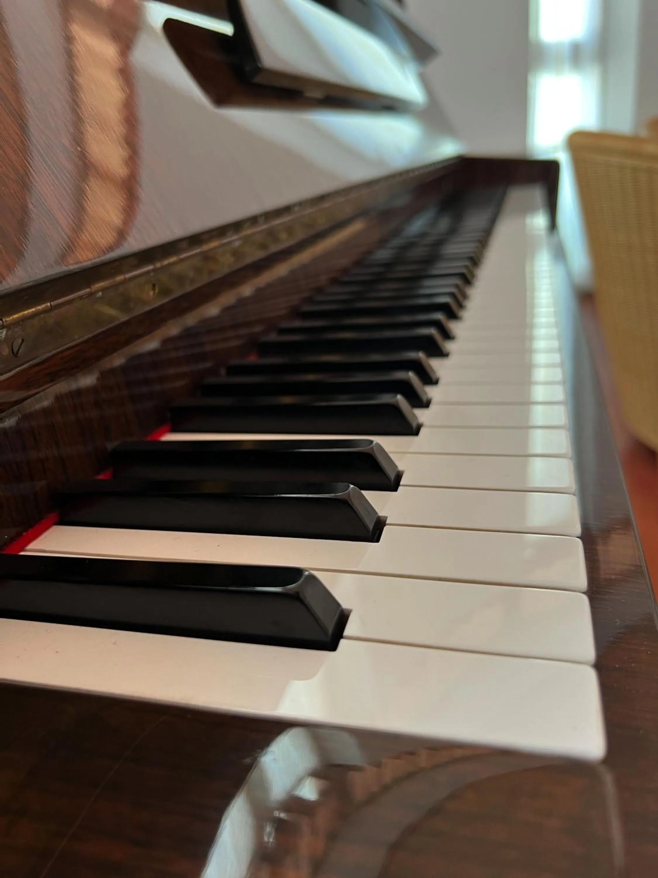 Communal lounge/ TV room in Hotel Ai Pini