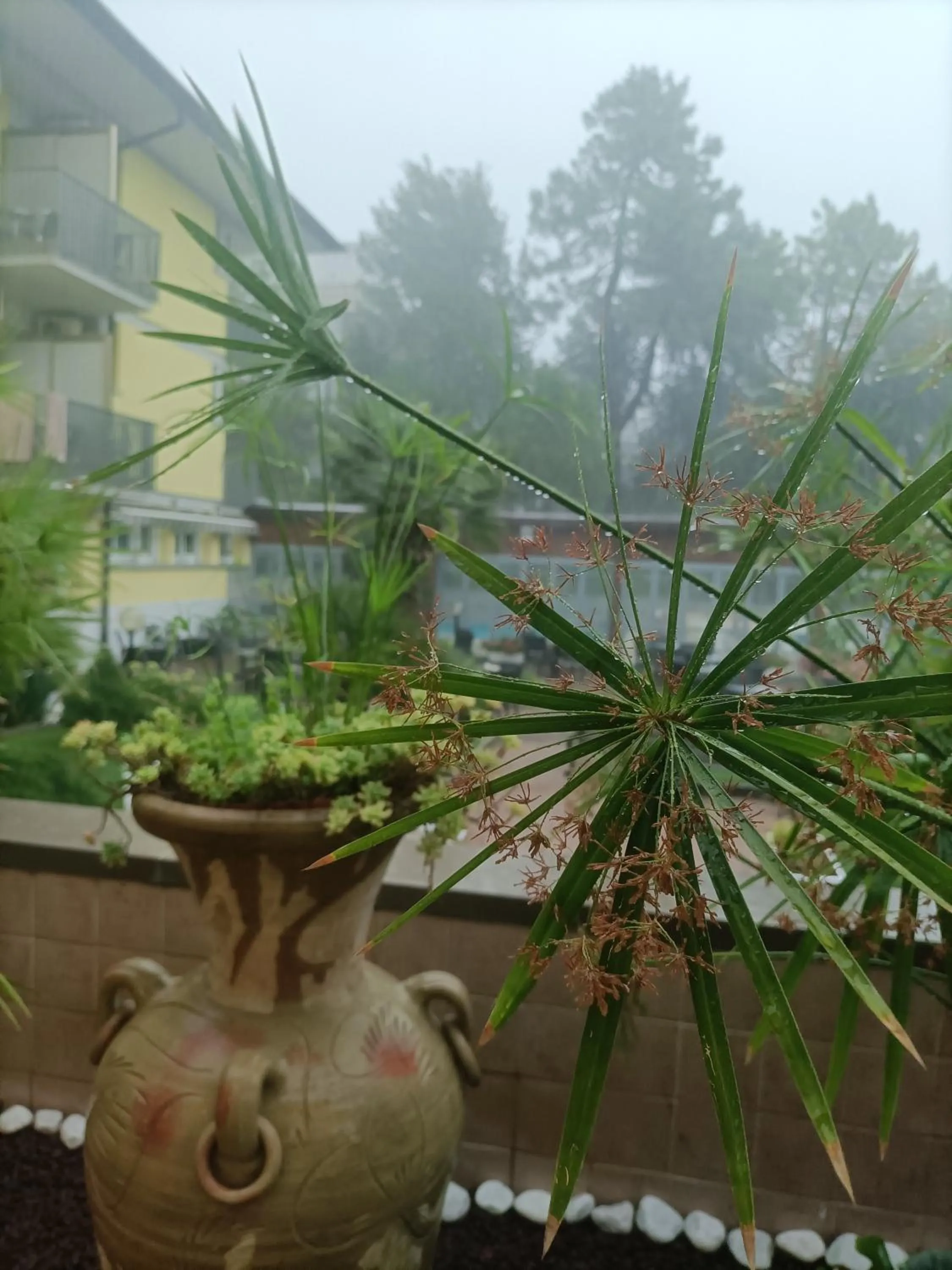 Garden view in Hotel Ai Pini