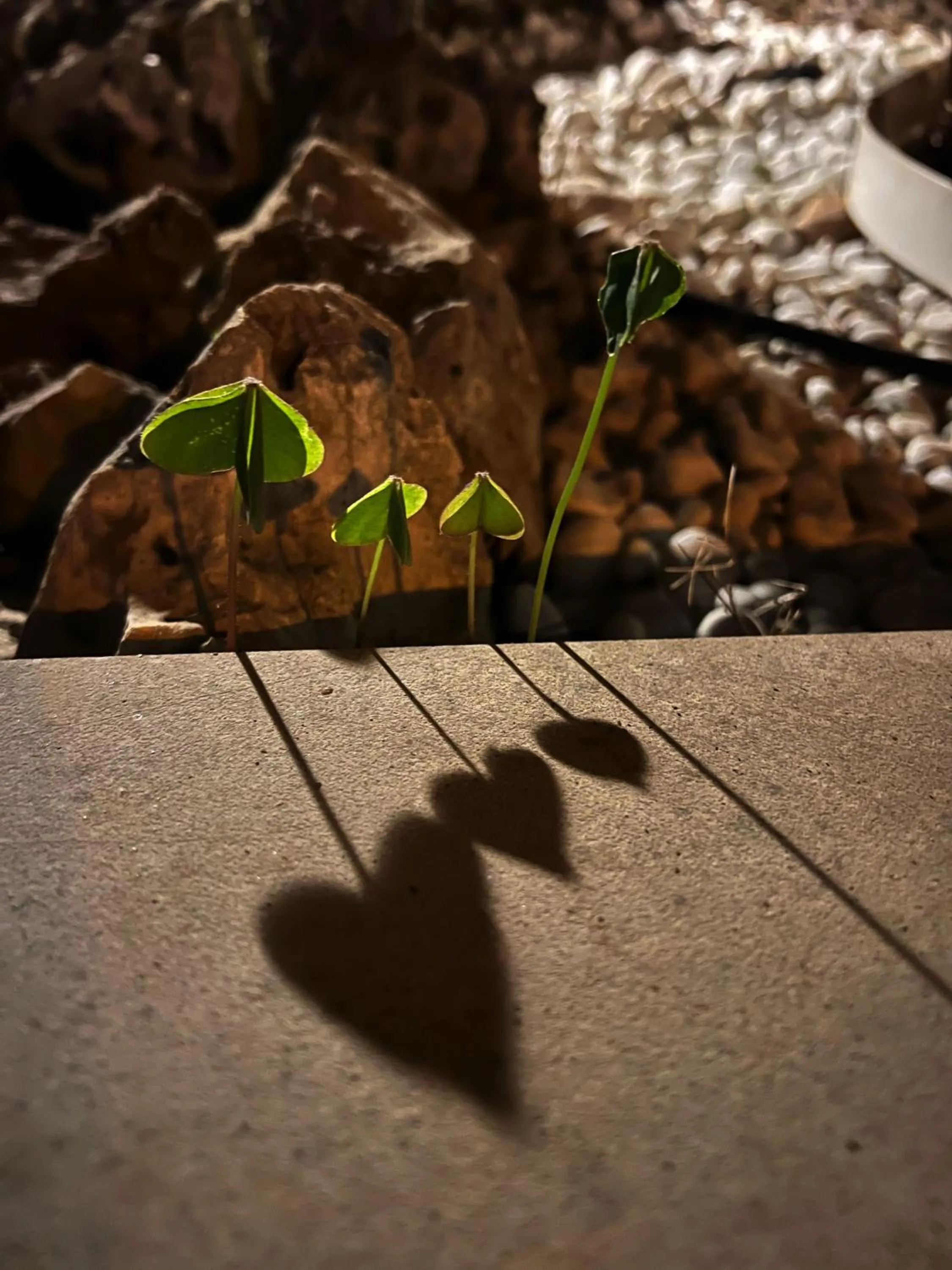 Property building in Hotel Ai Pini