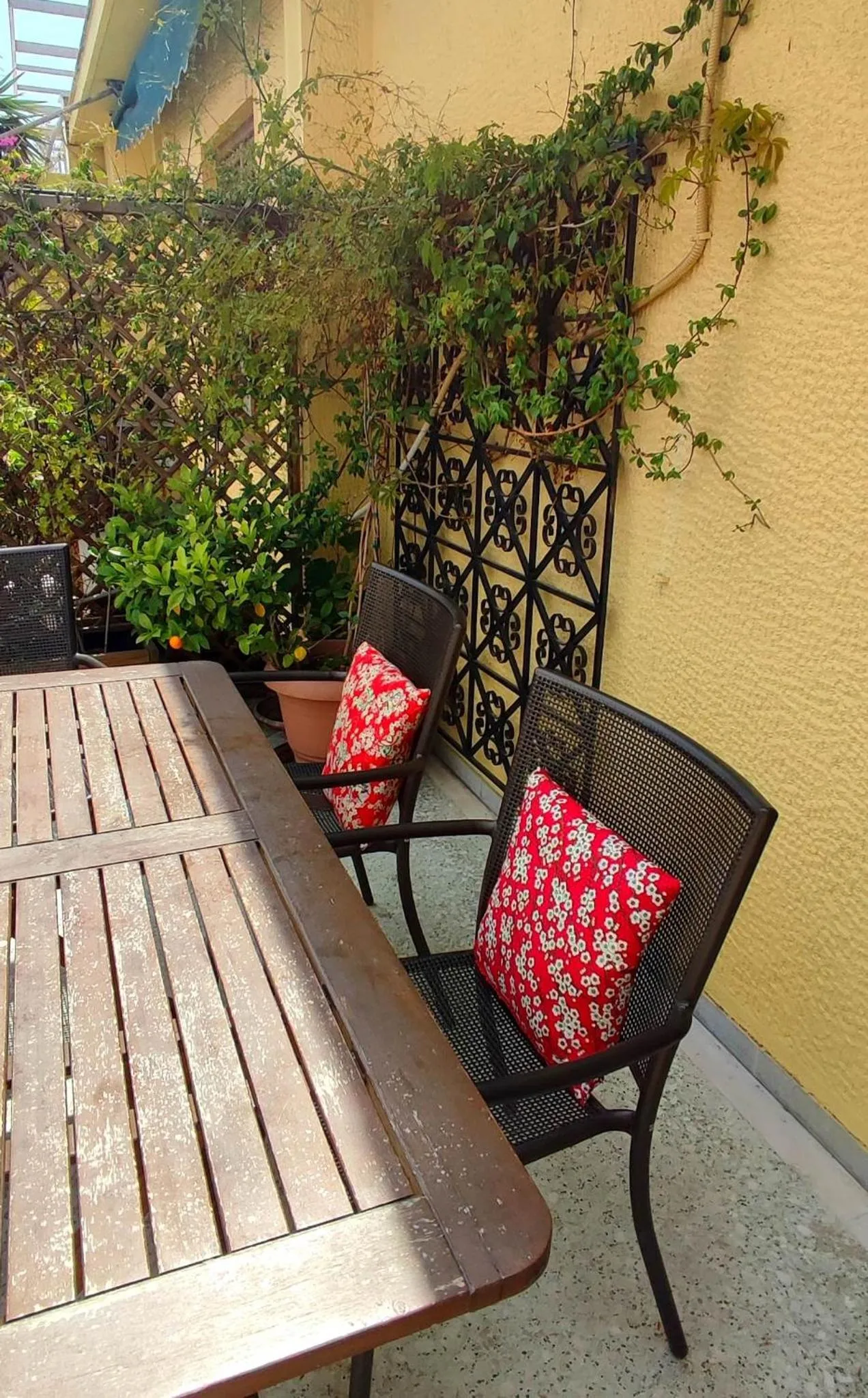 Balcony/Terrace in Ulysses Apartments Acropolis
