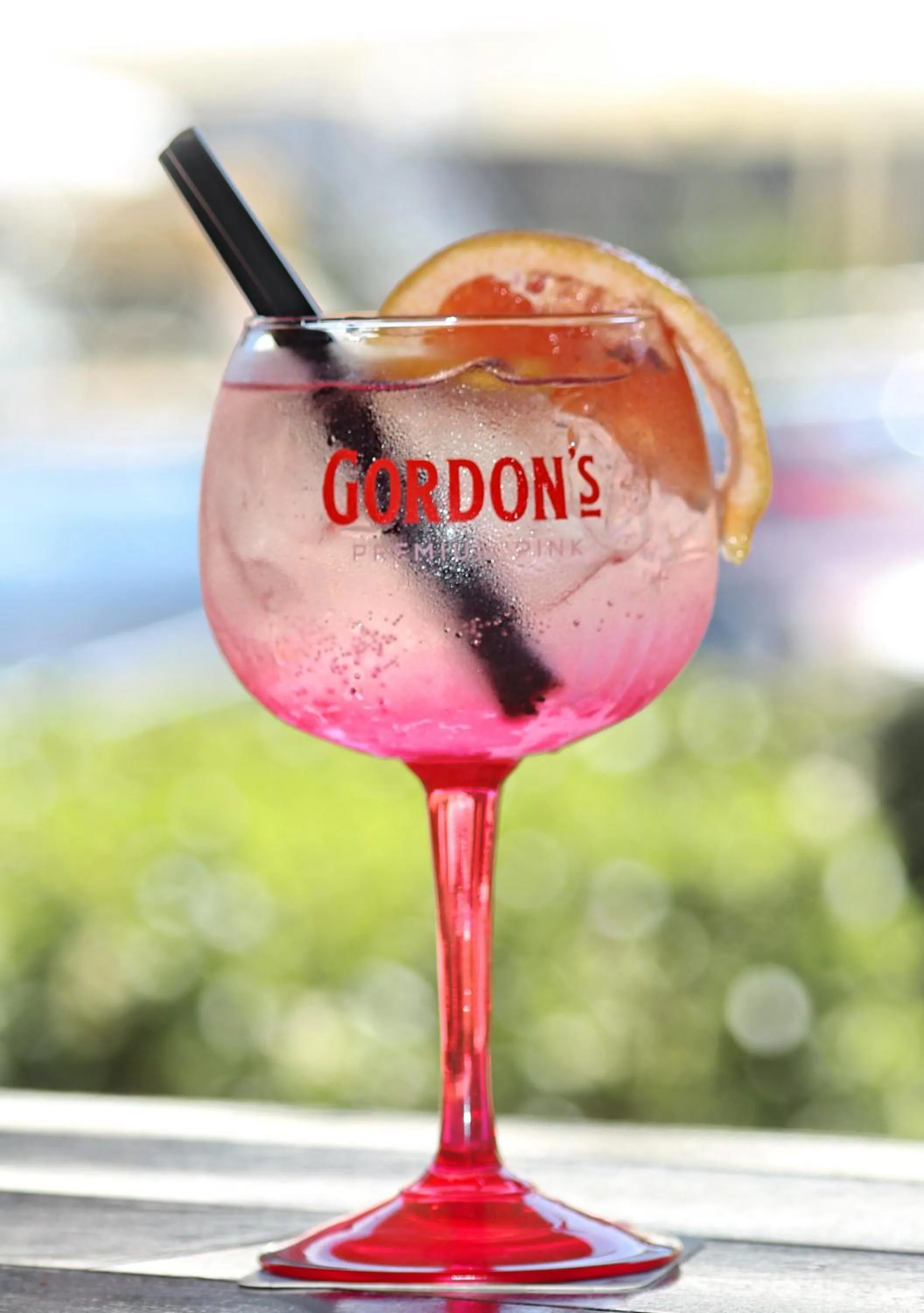 Lounge or bar in Barcelo Royal Beach - All Inclusive