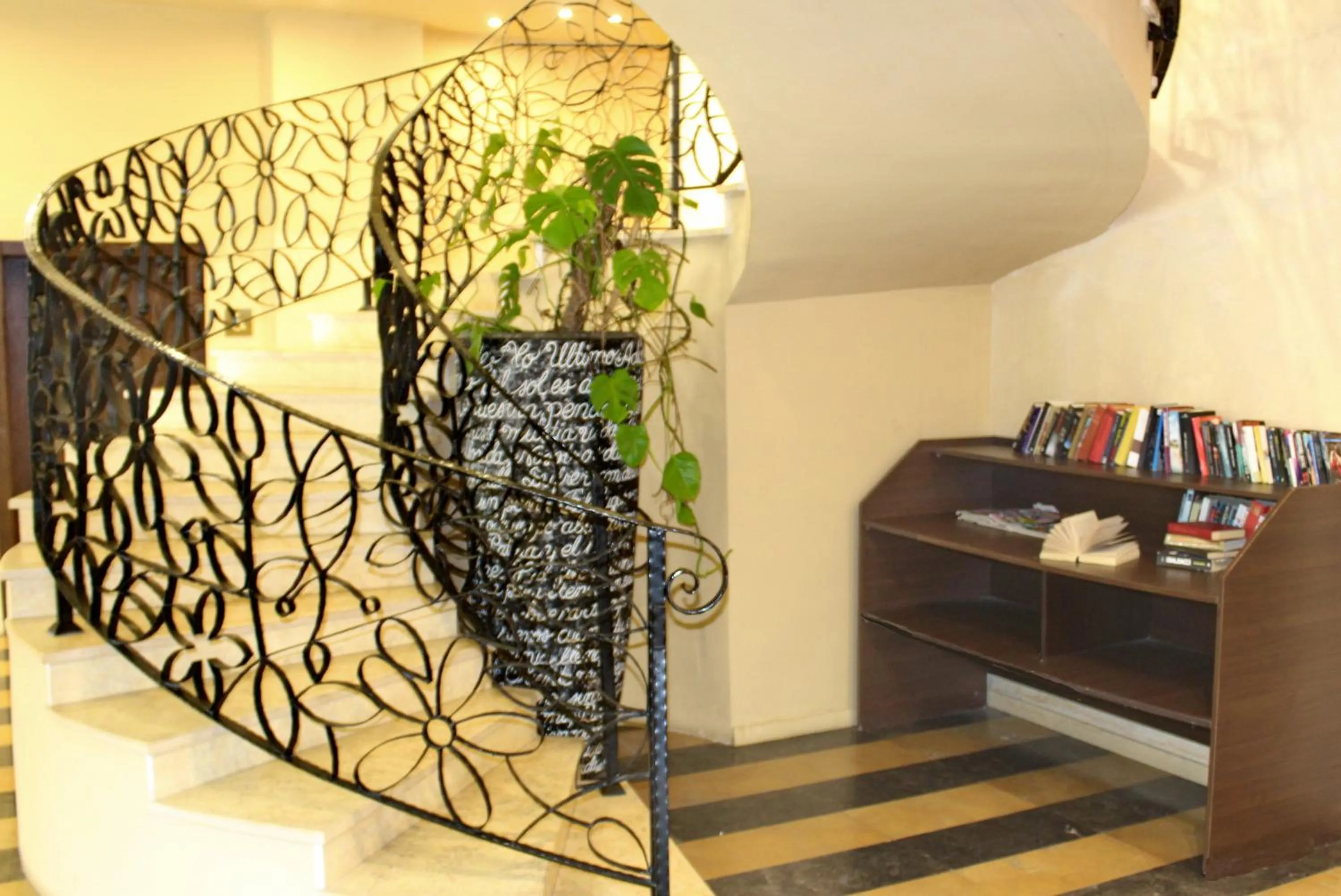 Activities in Barcelo Royal Beach - All Inclusive