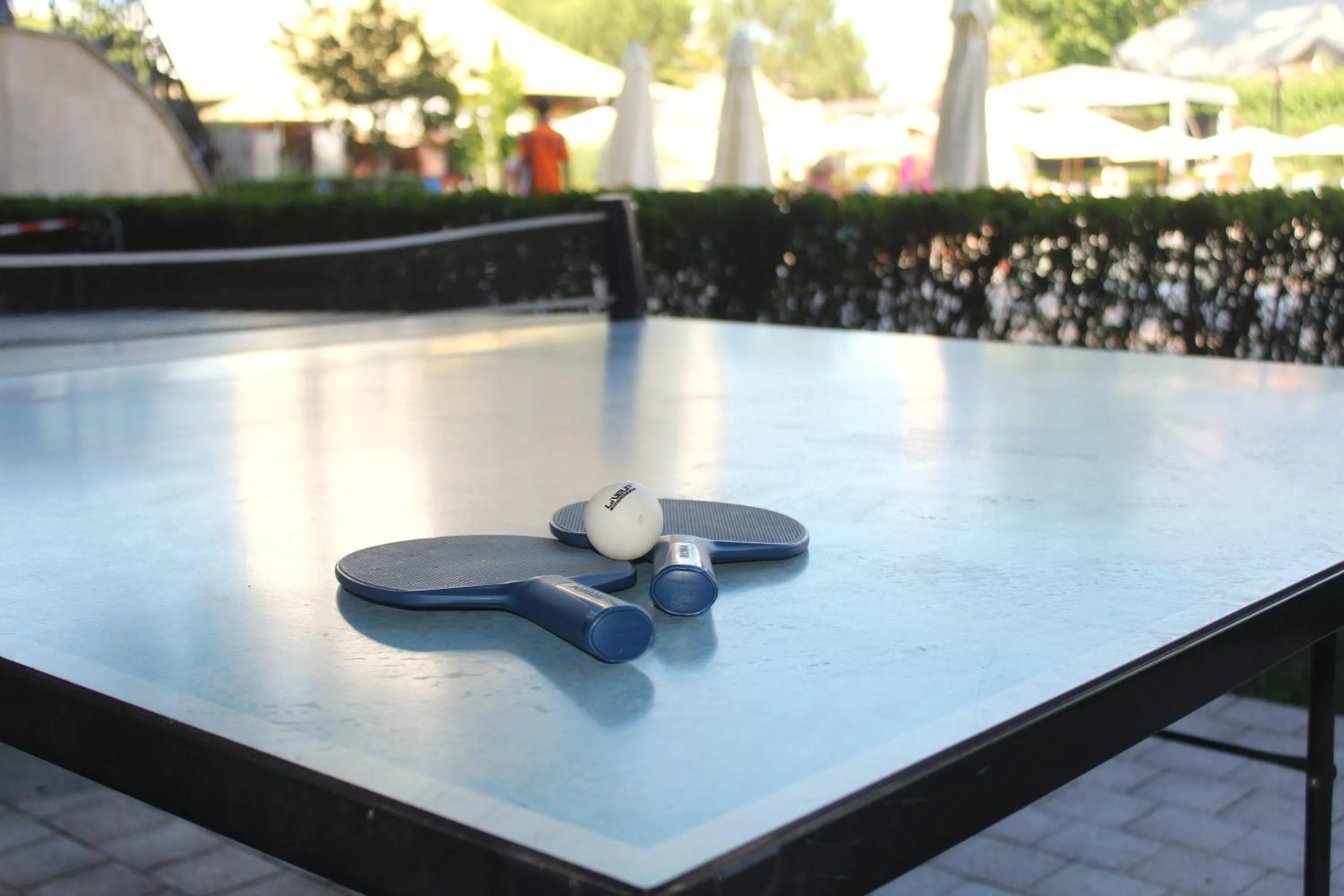 Day in Barcelo Royal Beach - All Inclusive