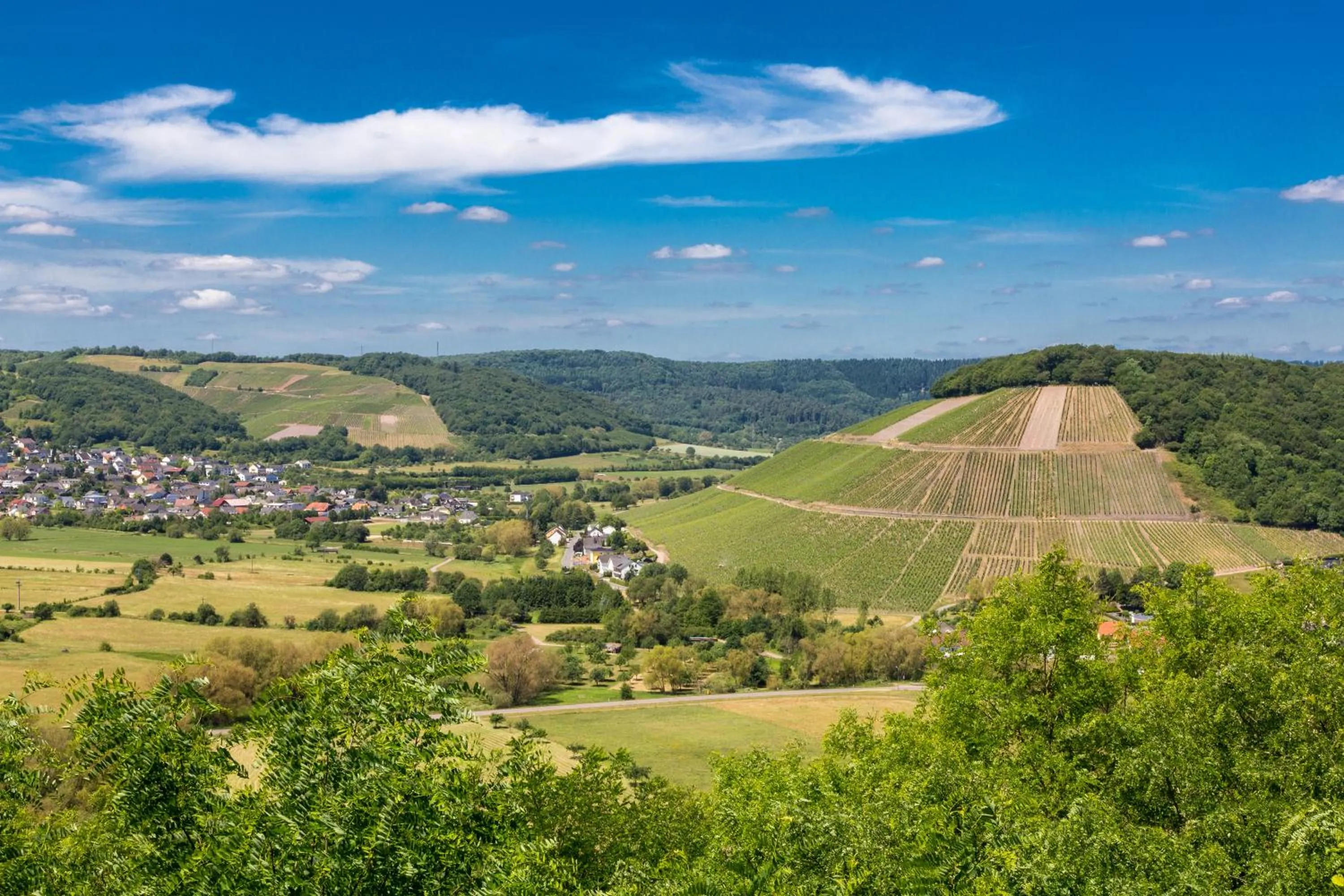 Natural landscape in Weinhotel Ayler Kupp