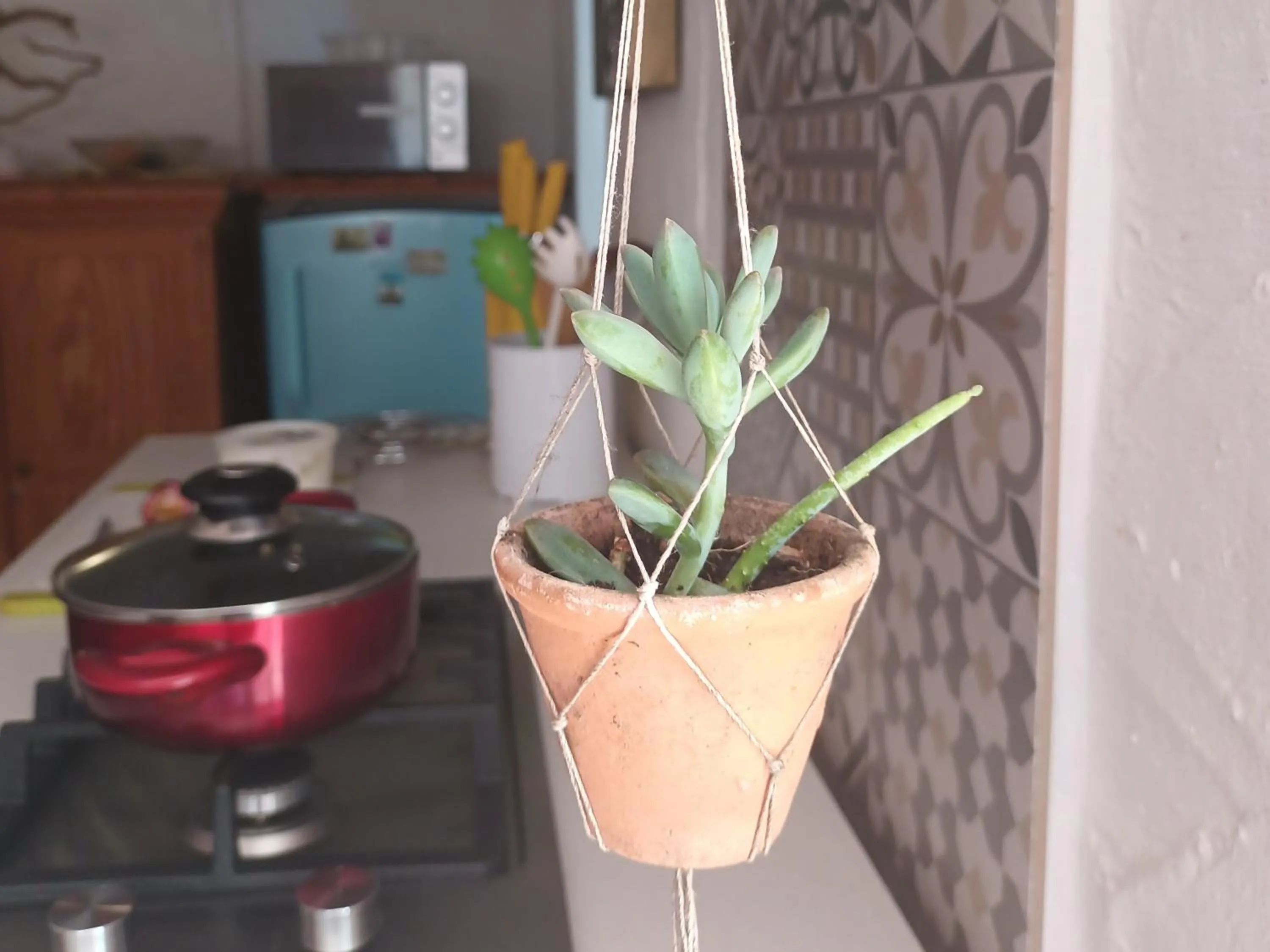 Kitchen or kitchenette in House on the Hill