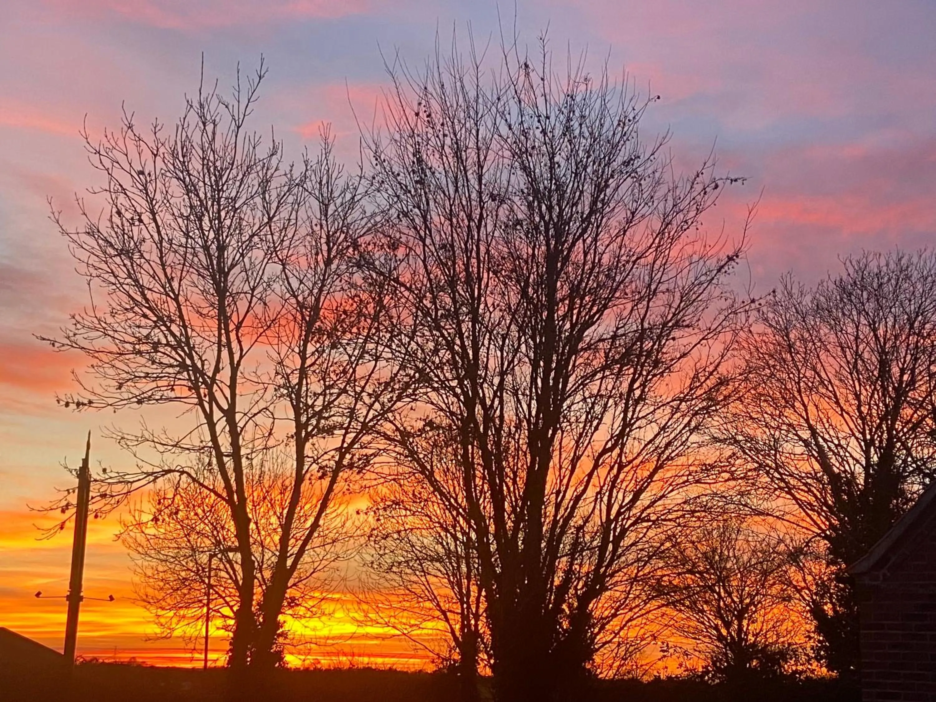Sunset in Willow Tree Cottages