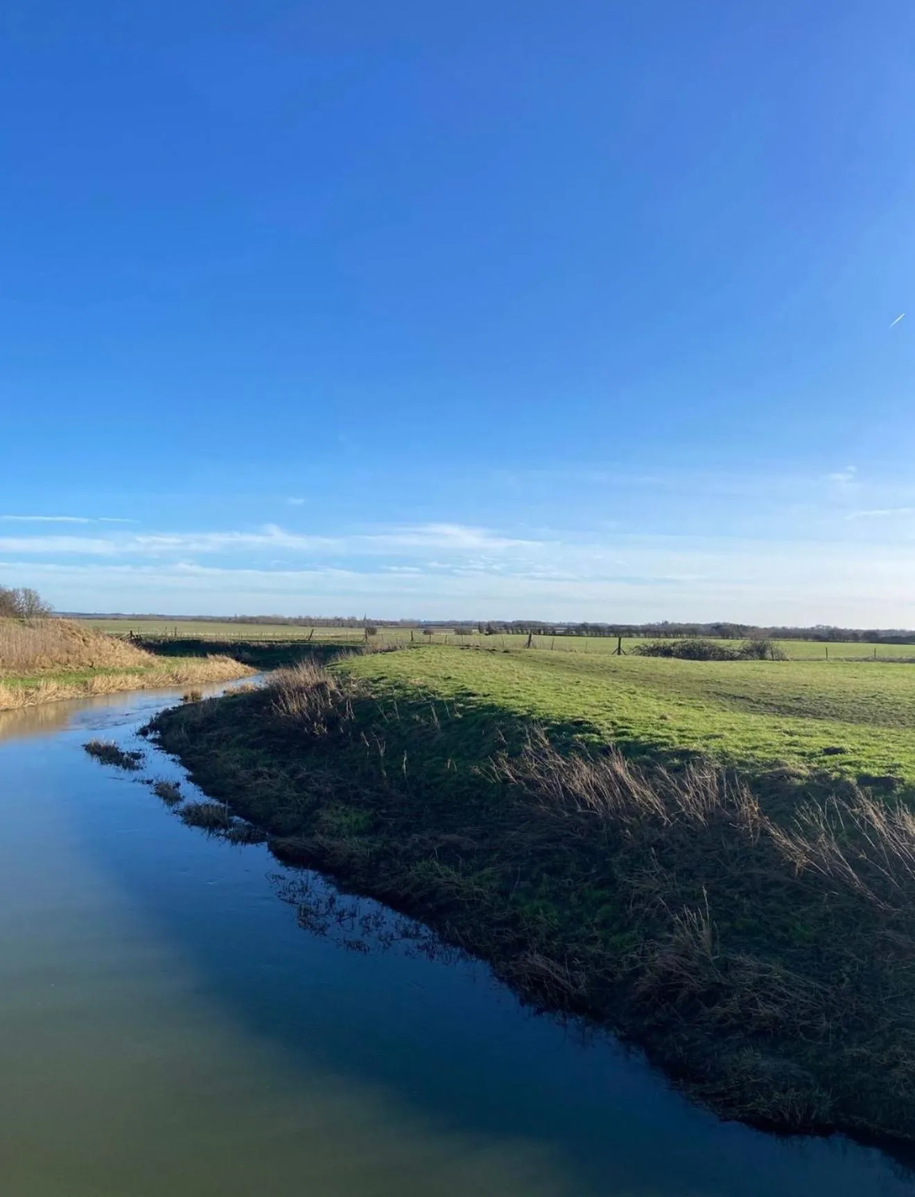 Natural landscape in Willow Tree Cottages