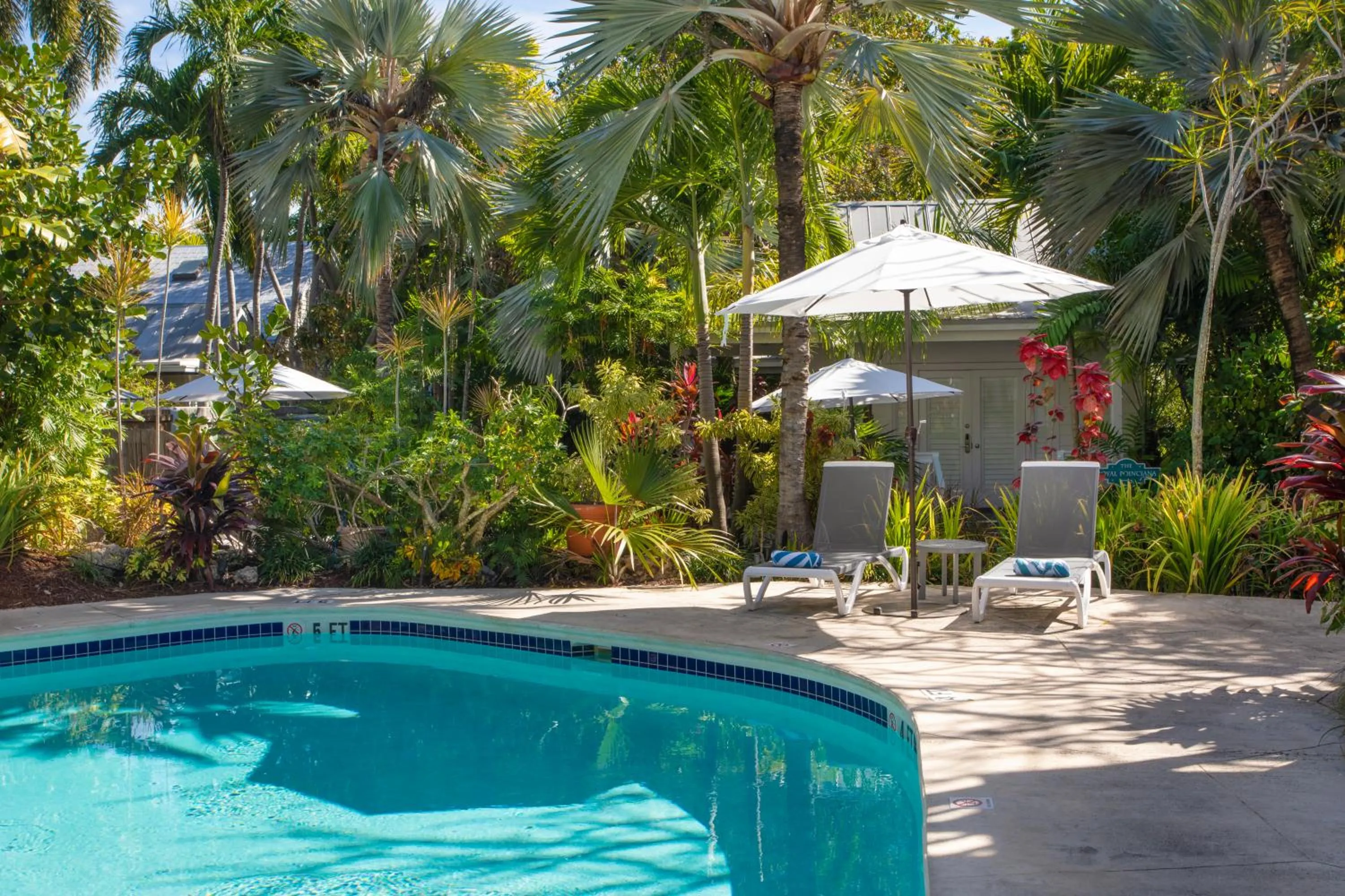 Swimming pool in Paradise Inn - Adult Exclusive