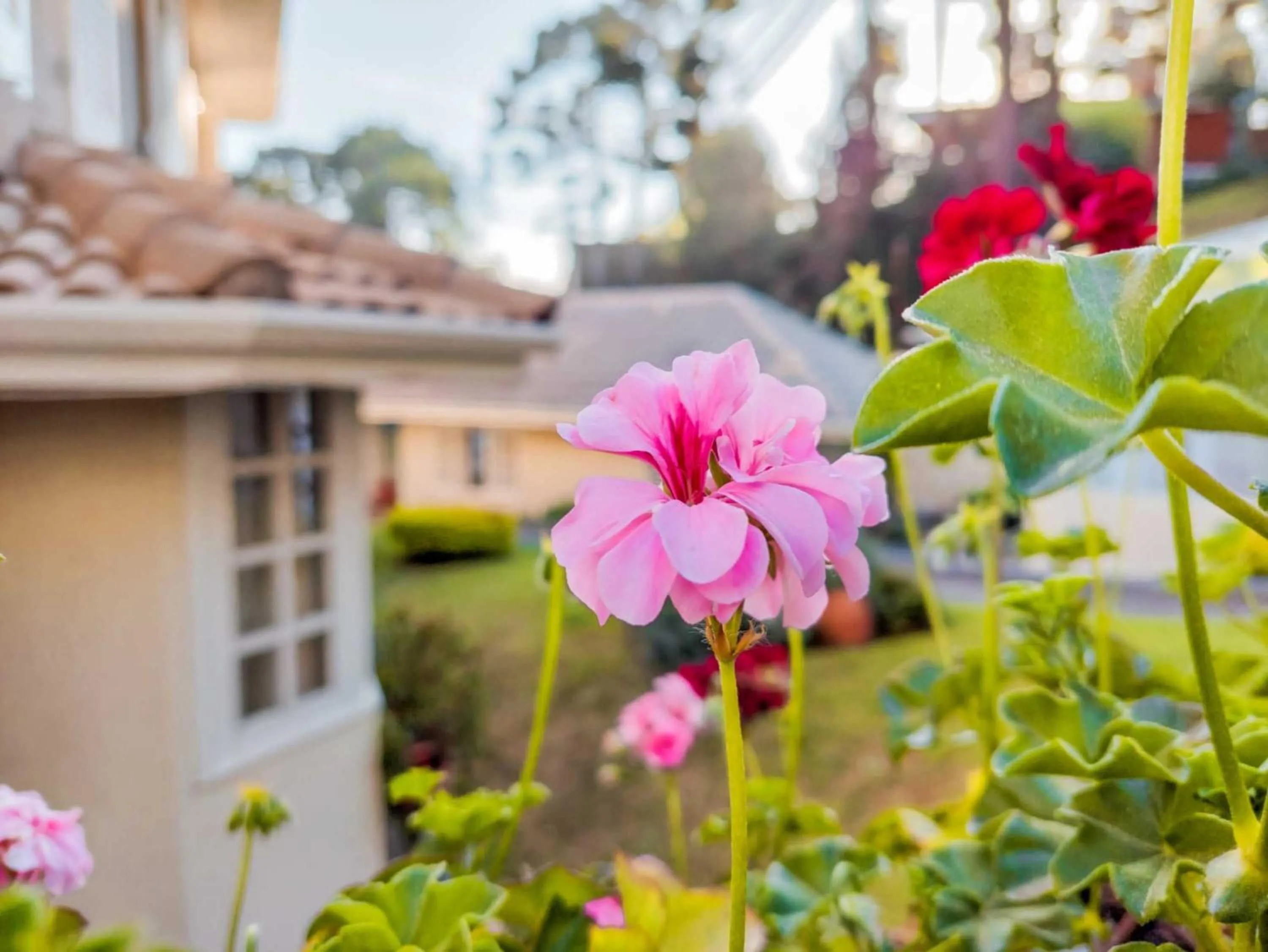 Property building in Pousada Nacional Inn Campos do Jordão