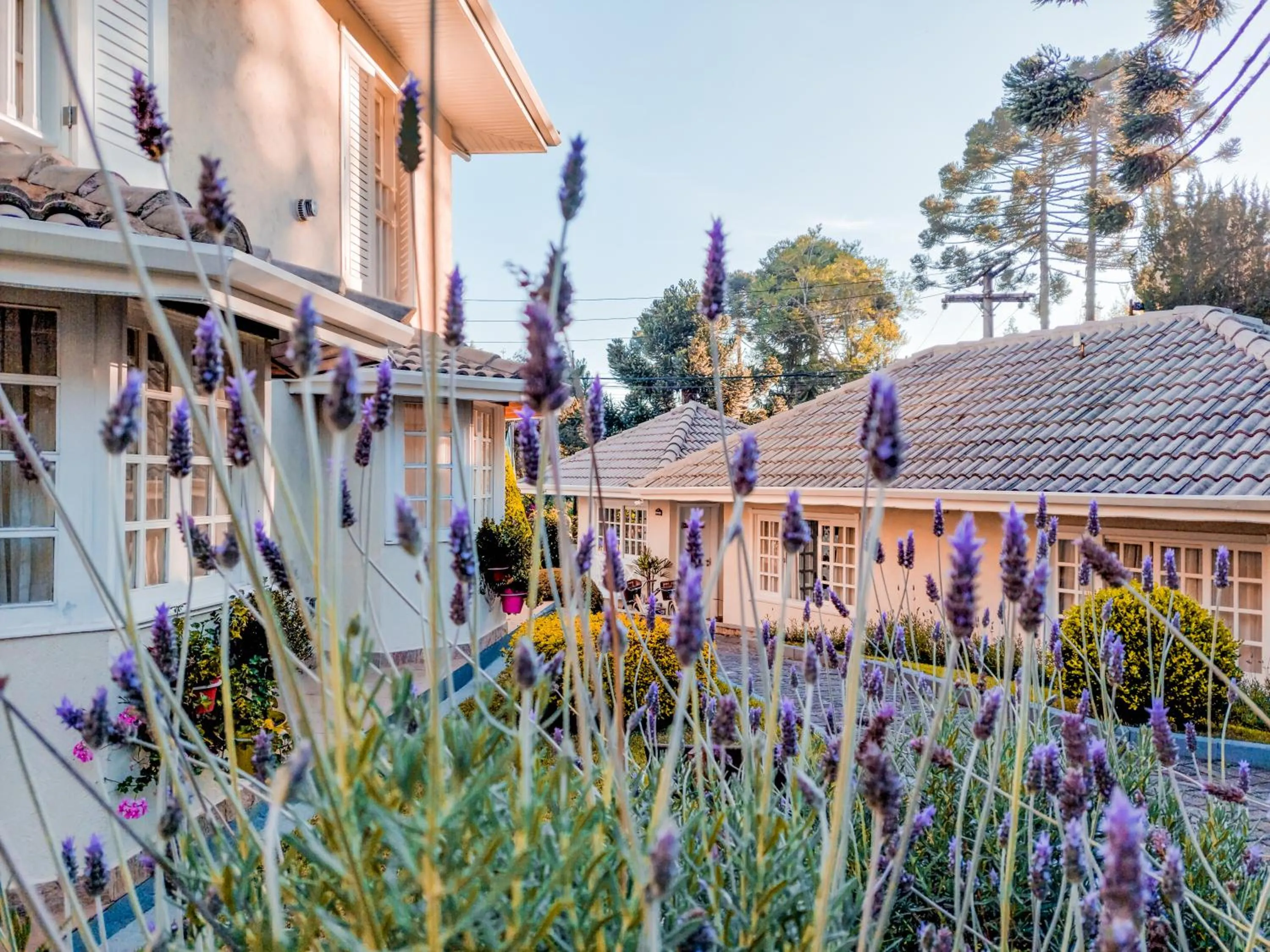 Garden view in Pousada Nacional Inn Campos do Jordão
