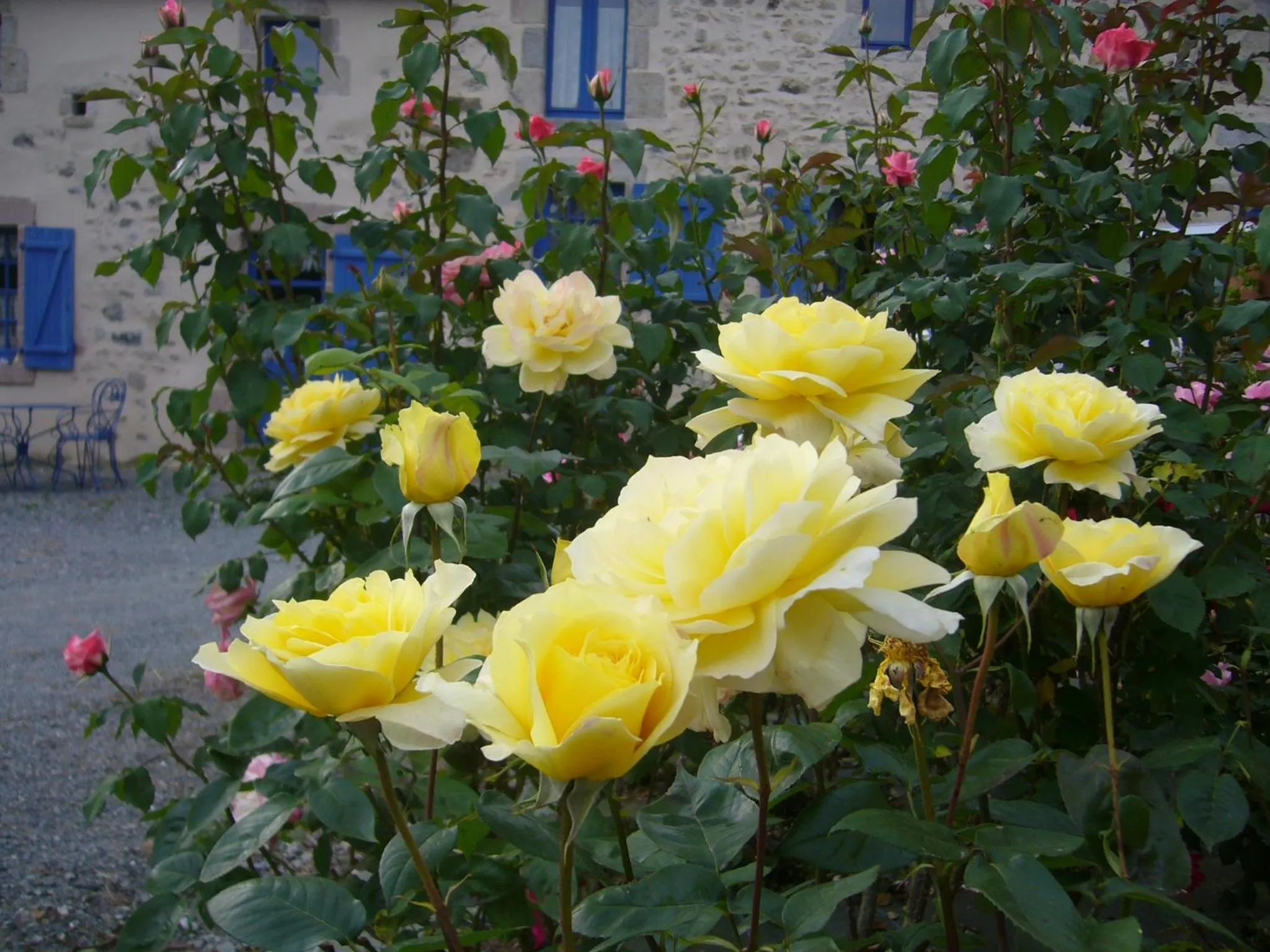 Garden in La petite Vallee
