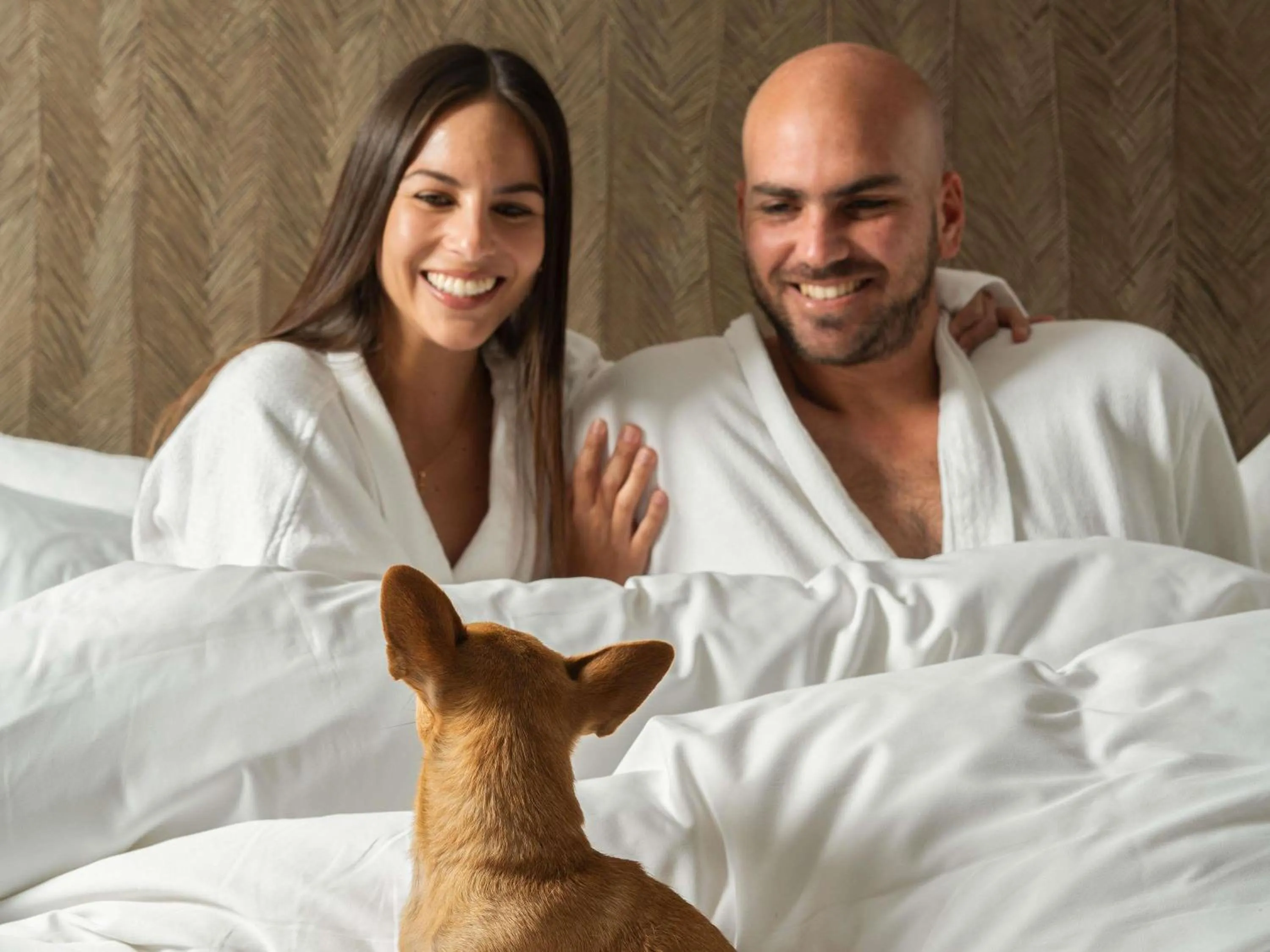 Other, Bed in Manto Hotel Lima - MGallery Collection