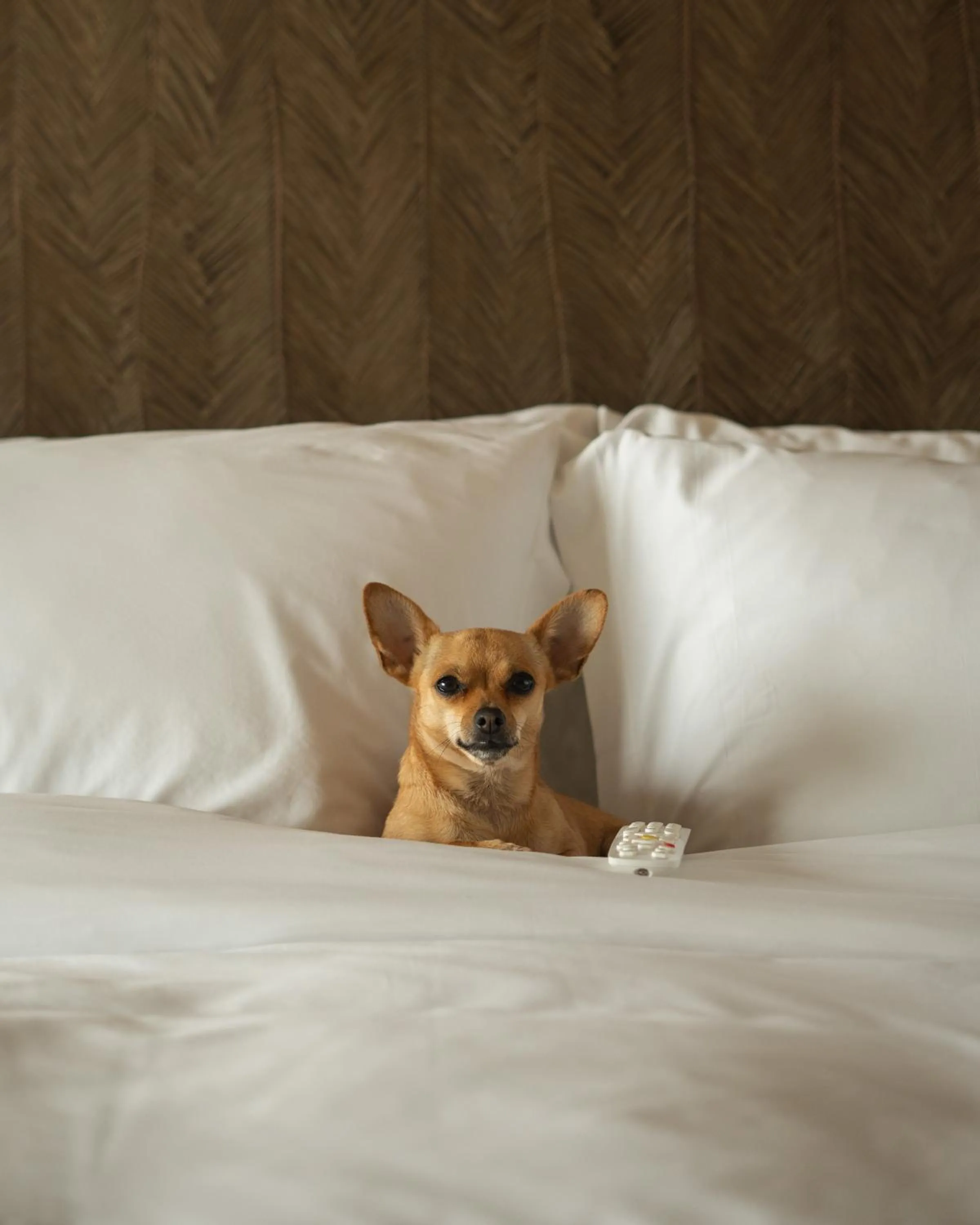 Bed in Manto Hotel Lima - MGallery Collection