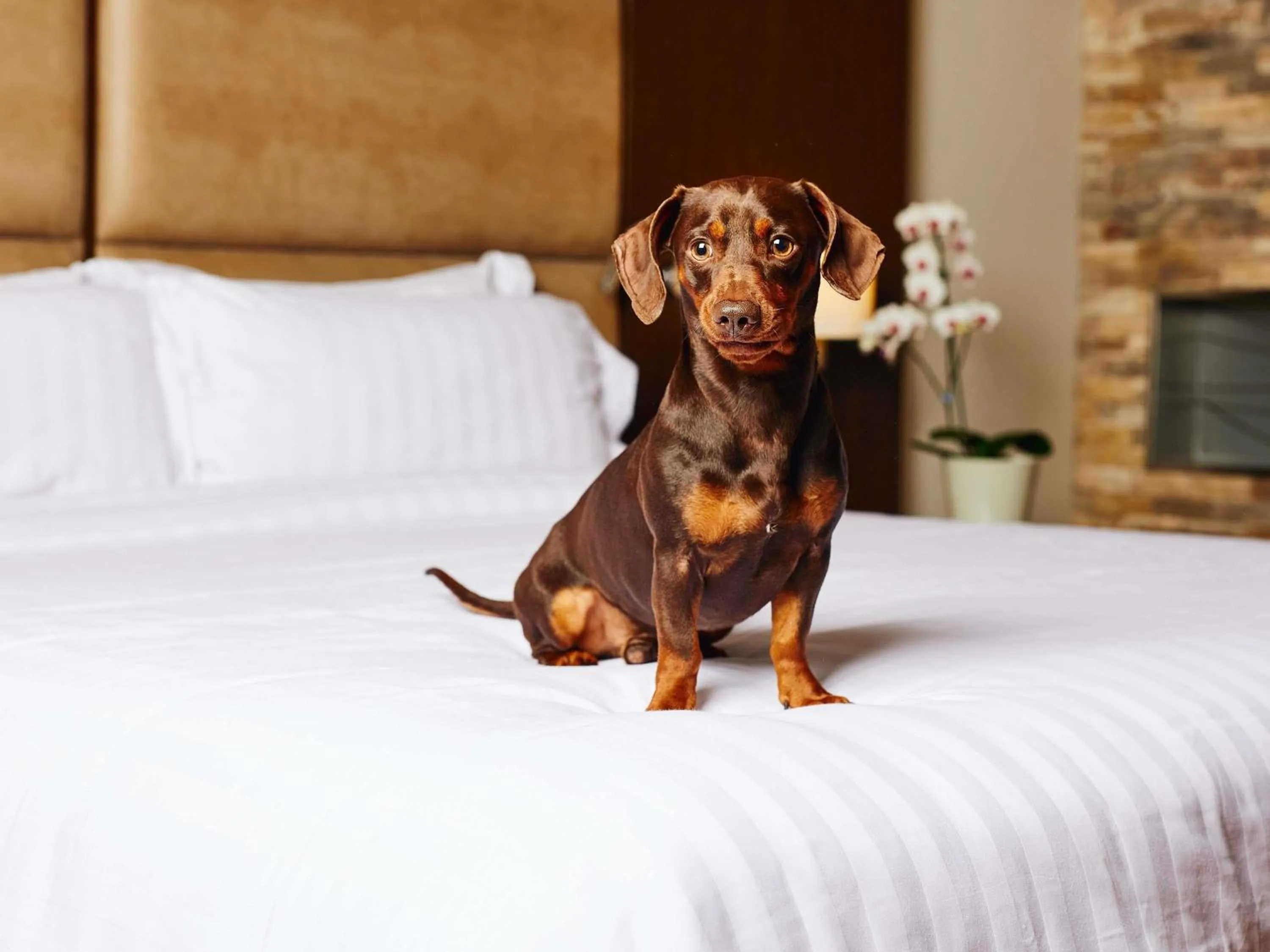 Bedroom in Manto Hotel Lima - MGallery Collection