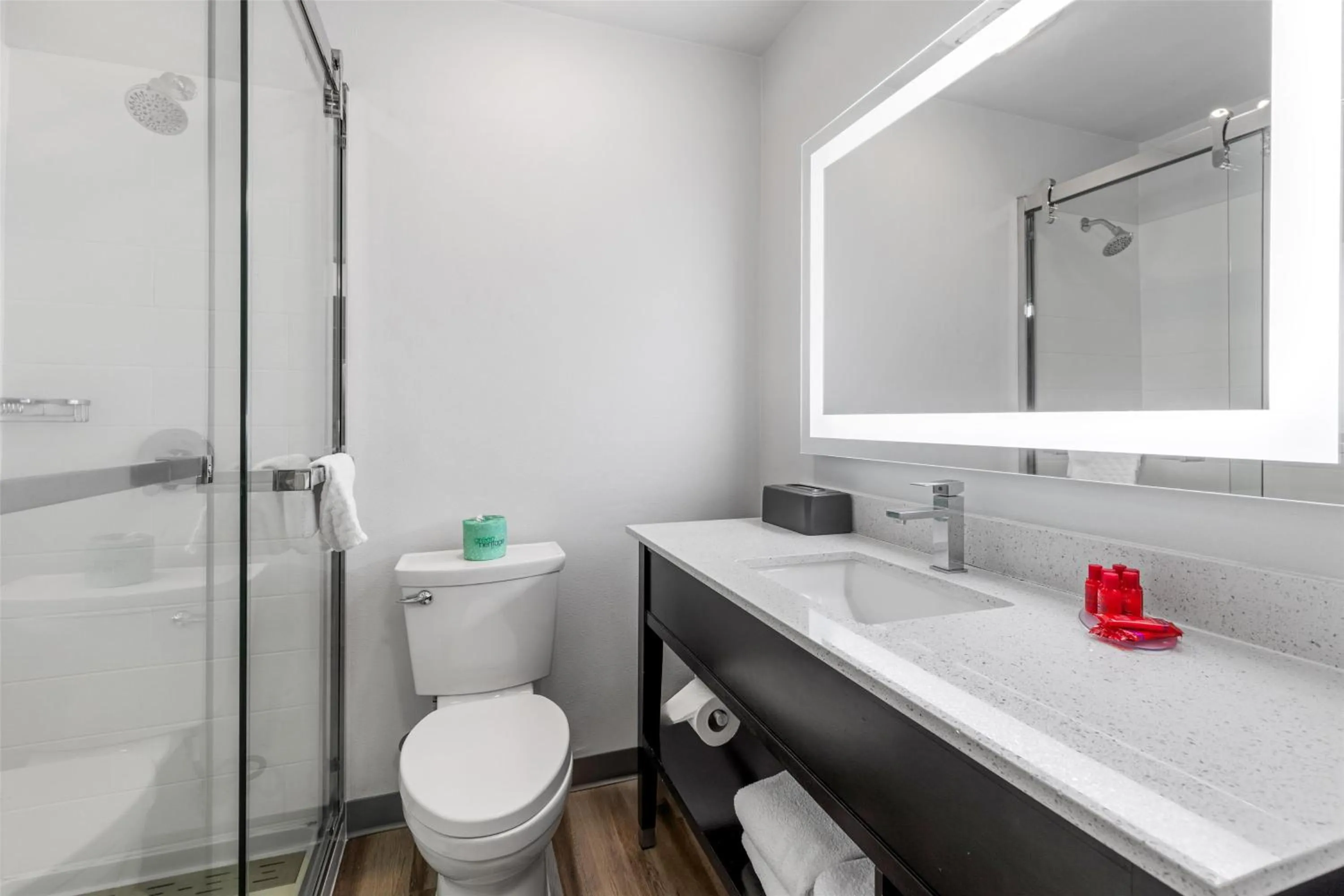 Bathroom in SureStay Plus Hotel by Best Western Mammoth Lakes