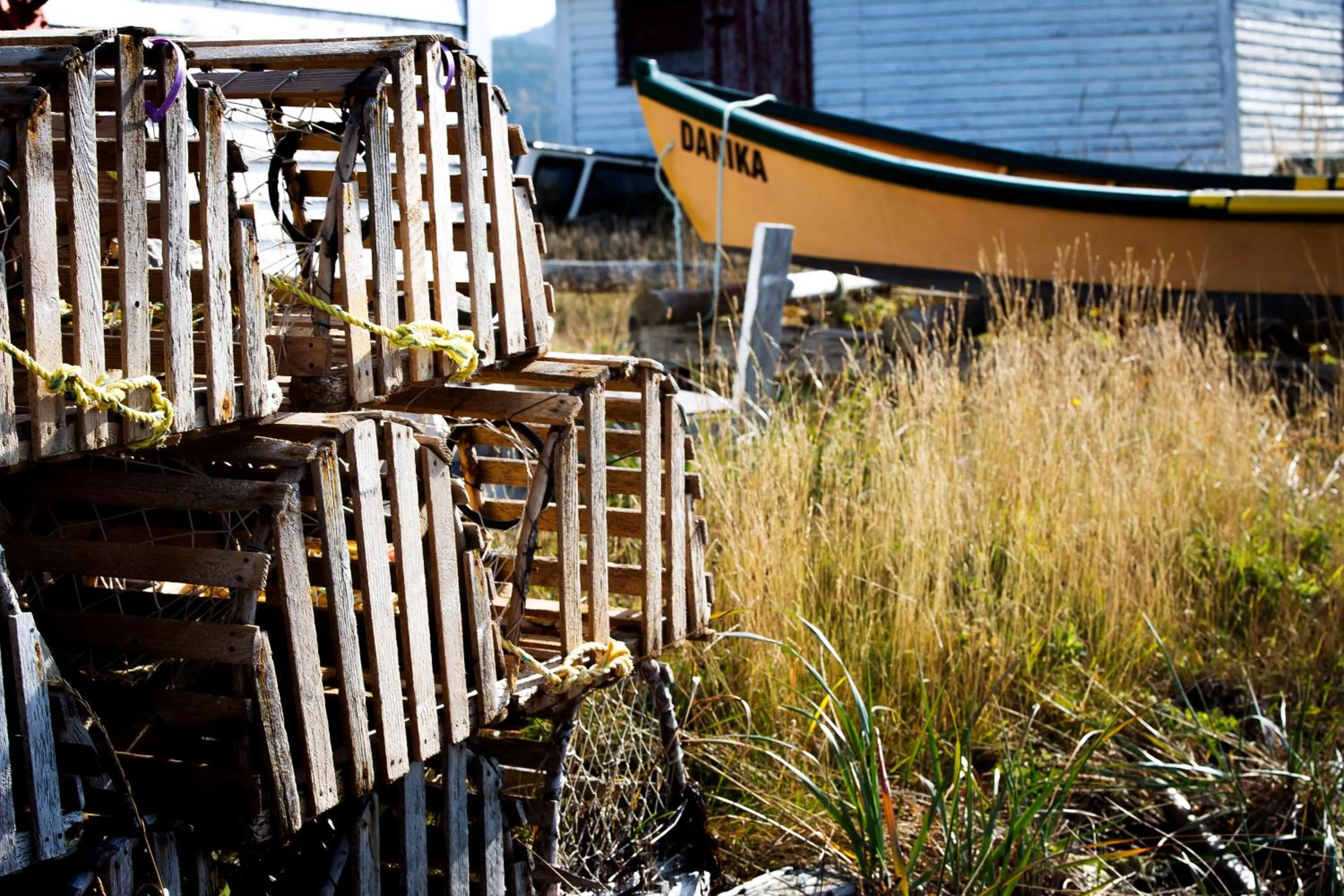 Neighbourhood in The Killick Inn & Suites