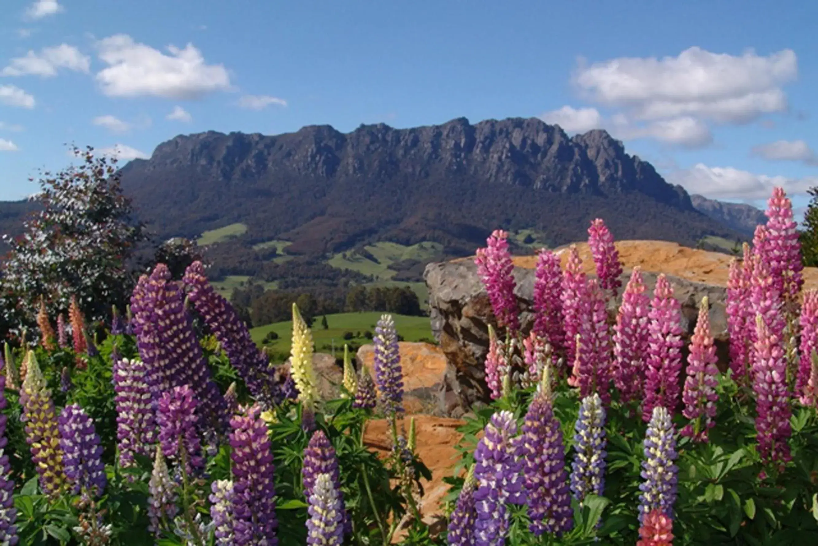 Mountain view in AAA Granary Accommodation Mountain view in AAA Granary Accommodation