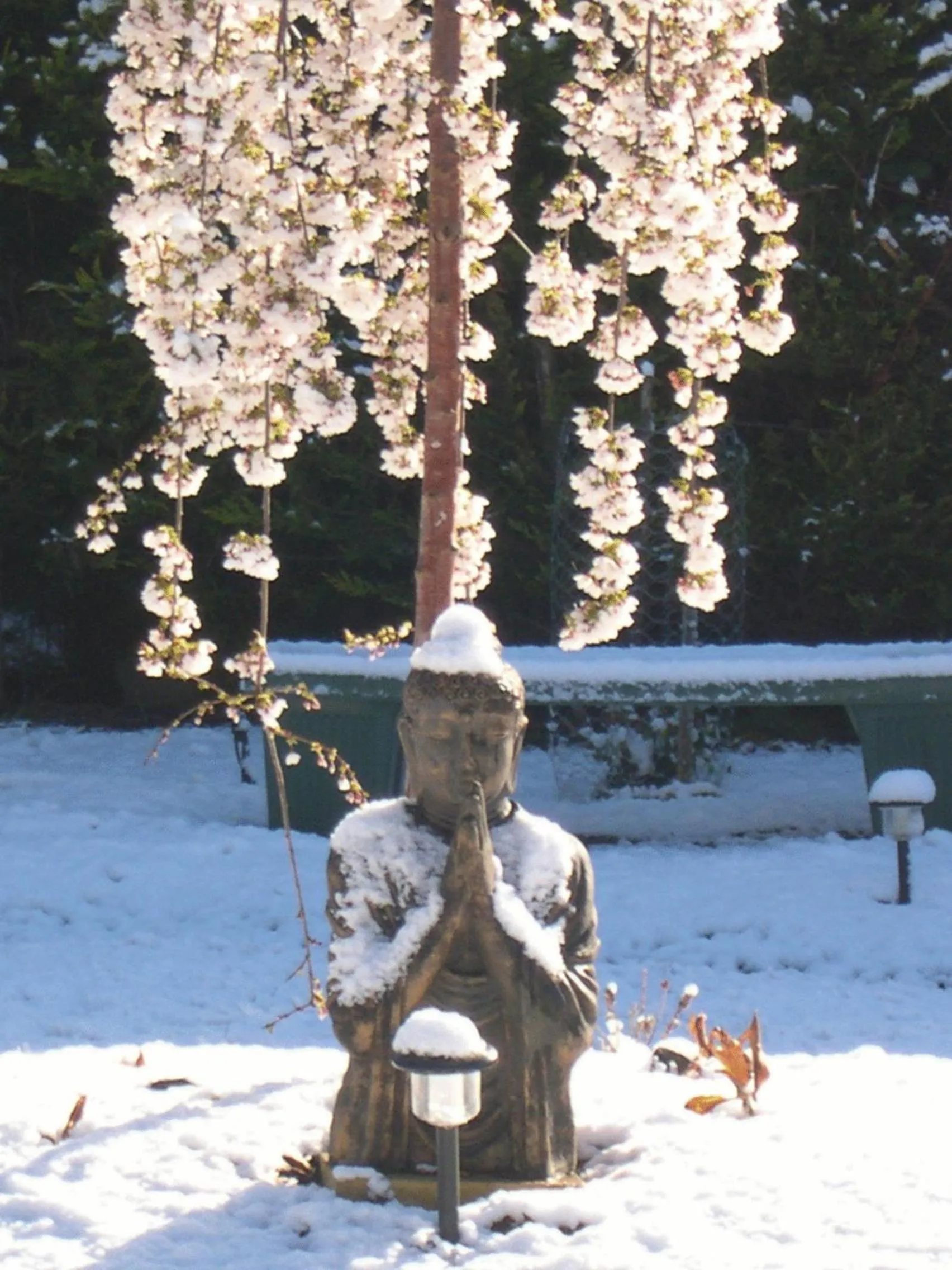 Decorative detail in AAA Granary Accommodation