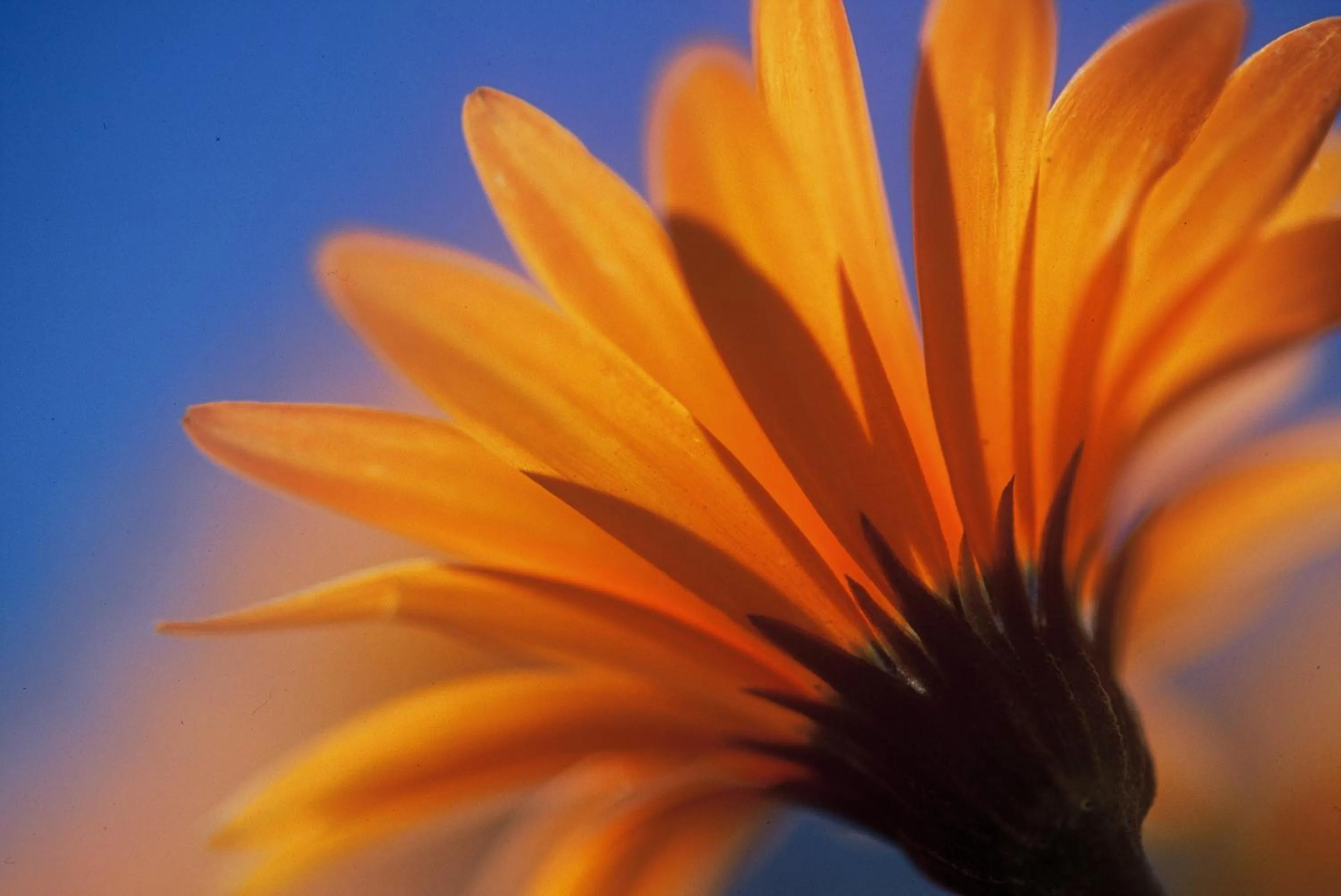 Other in Naries Namakwa Retreat