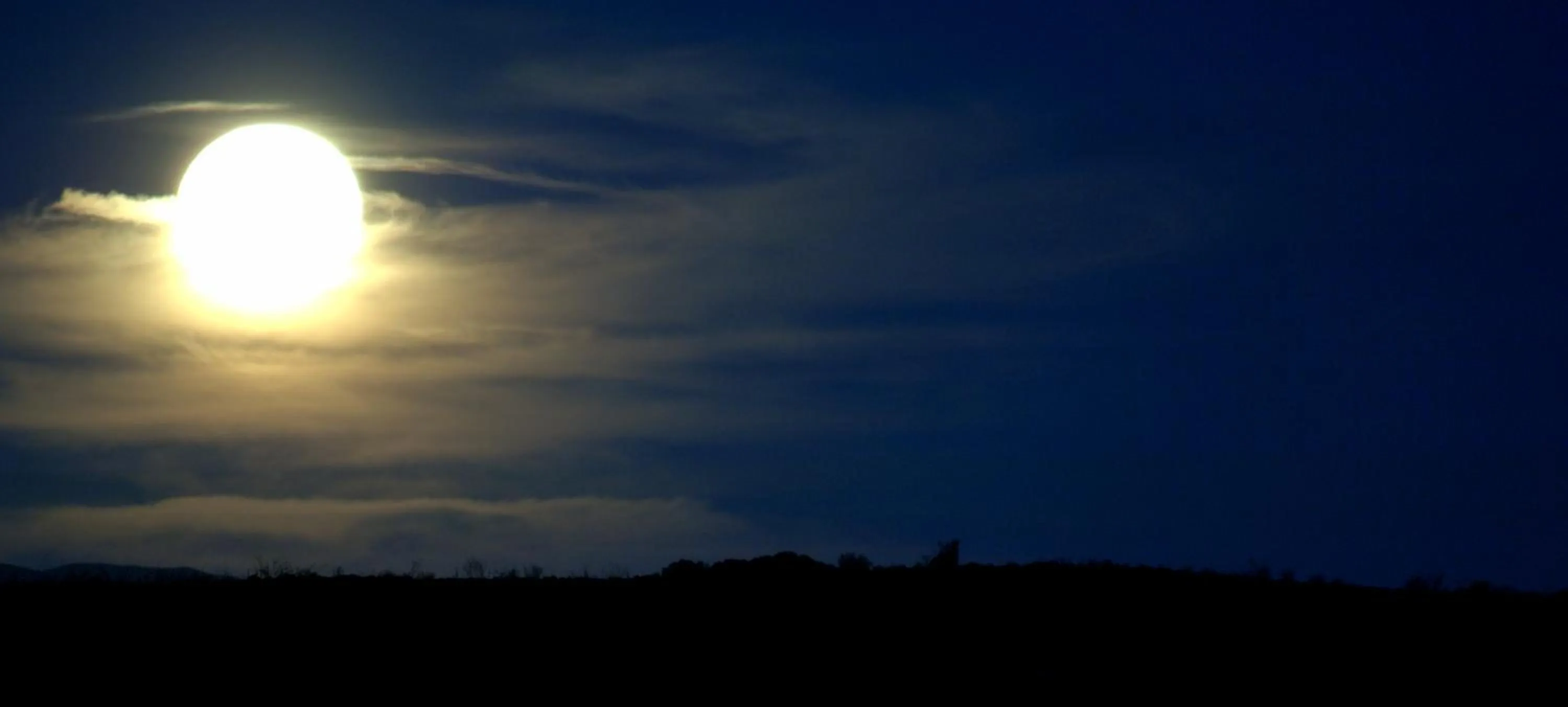 Natural landscape in Naries Namakwa Retreat