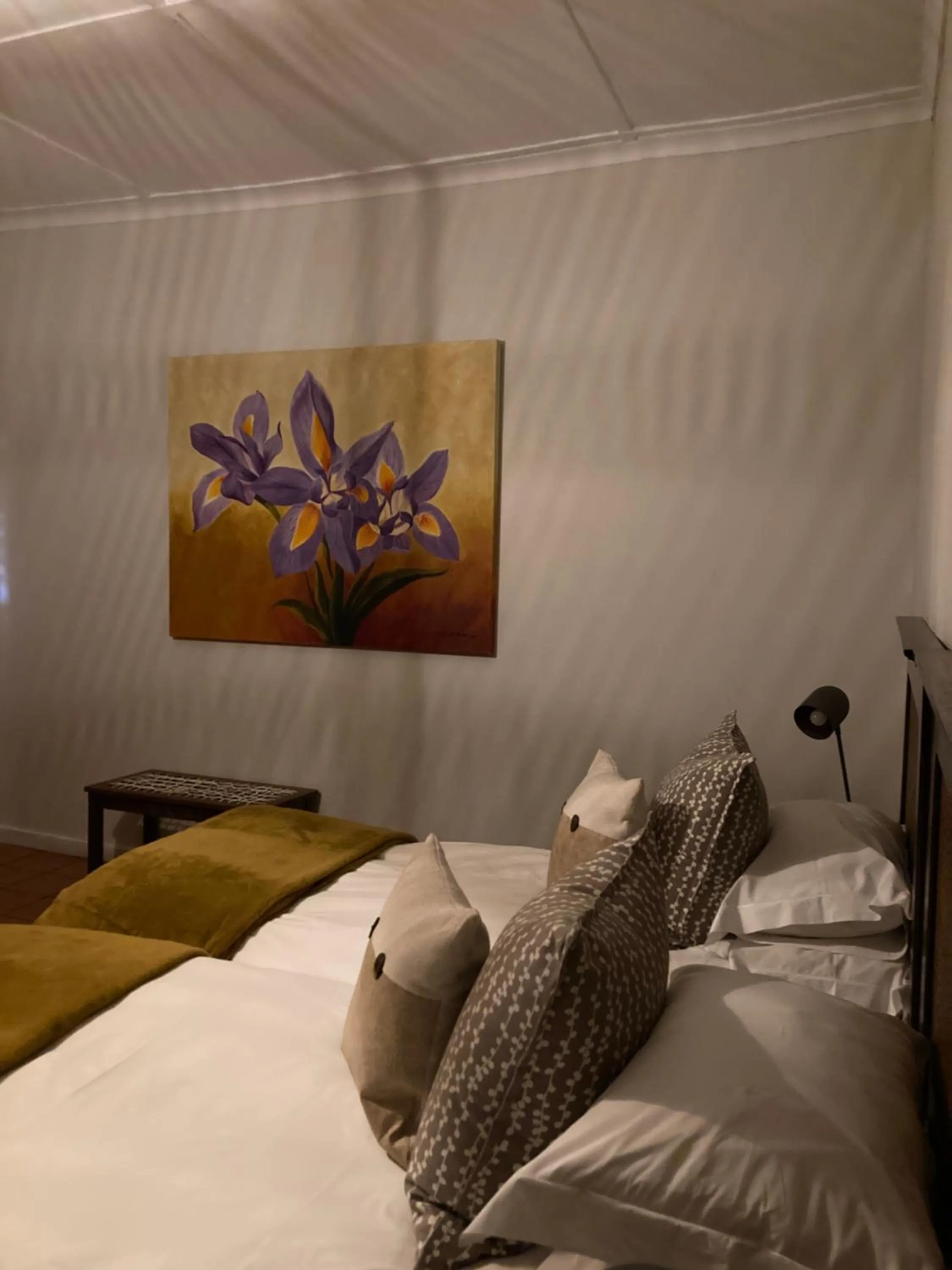 Bedroom, Bed in Naries Namakwa Retreat