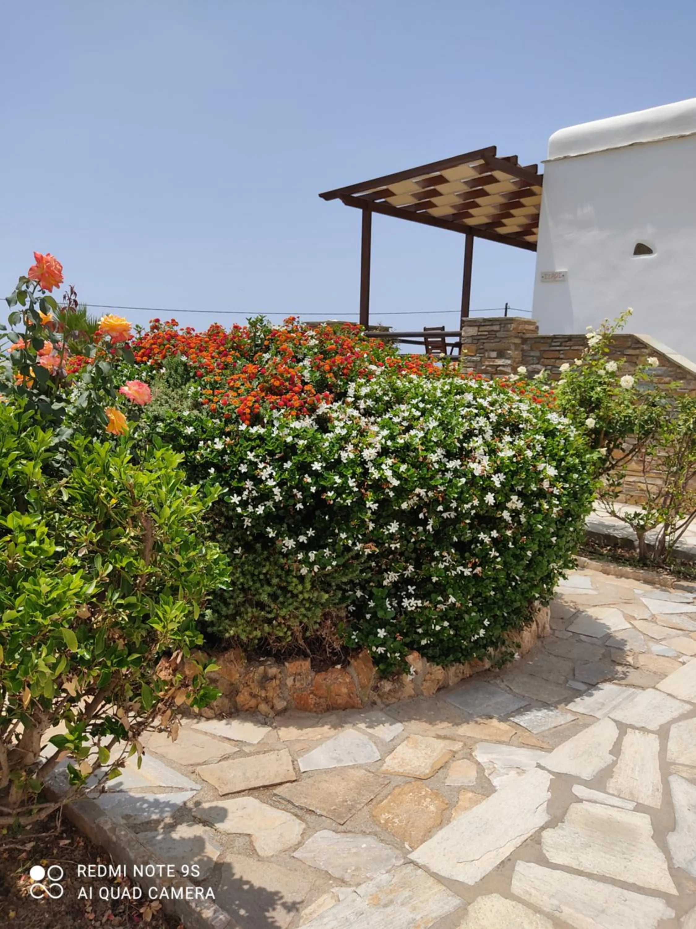 Garden in Aigaio Studios tinos