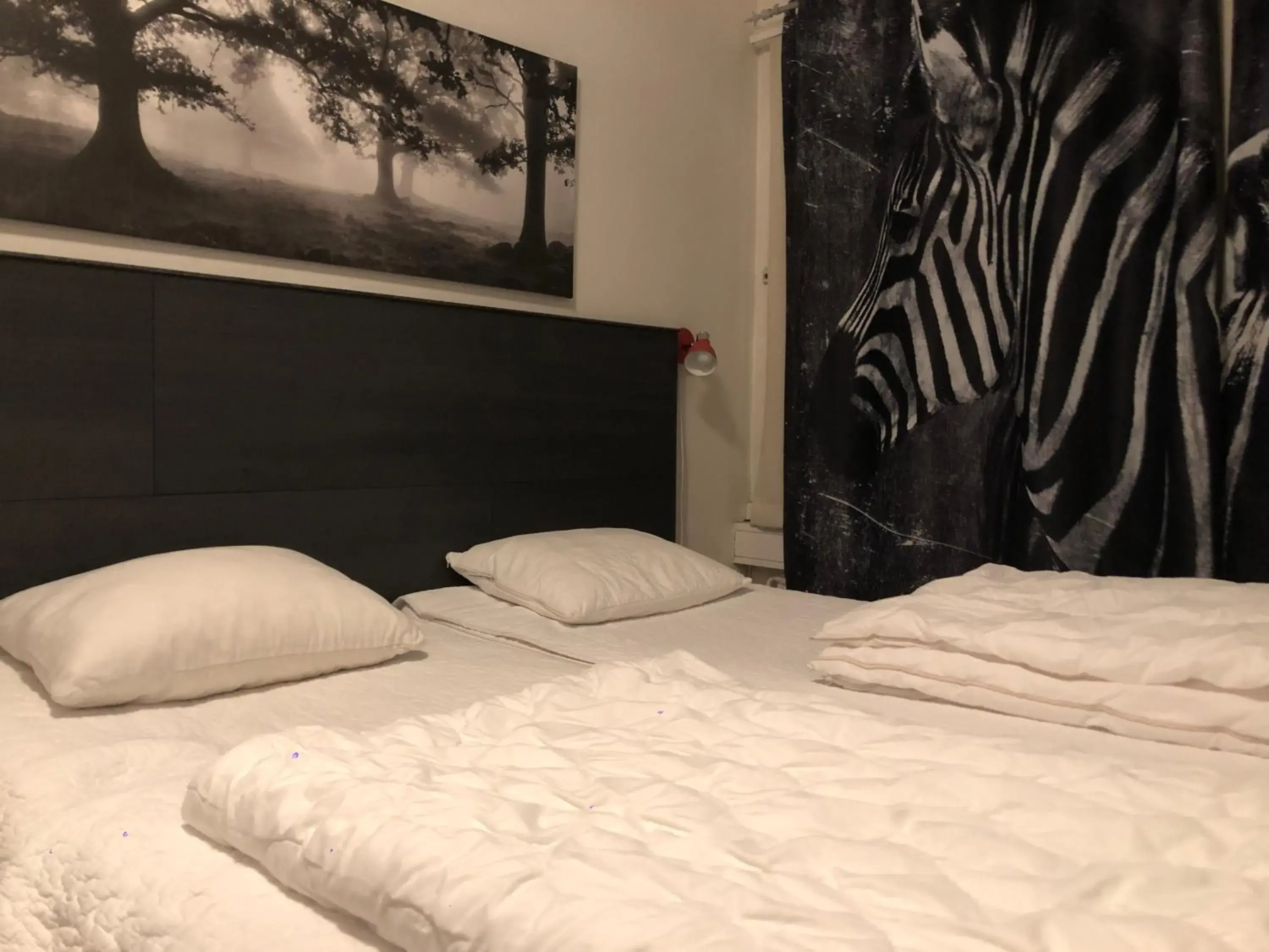 Bed in Uppsala City Hostel Bed in Uppsala City Hostel