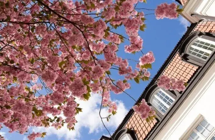 Uppsala City Hostel Uppsala City Hostel