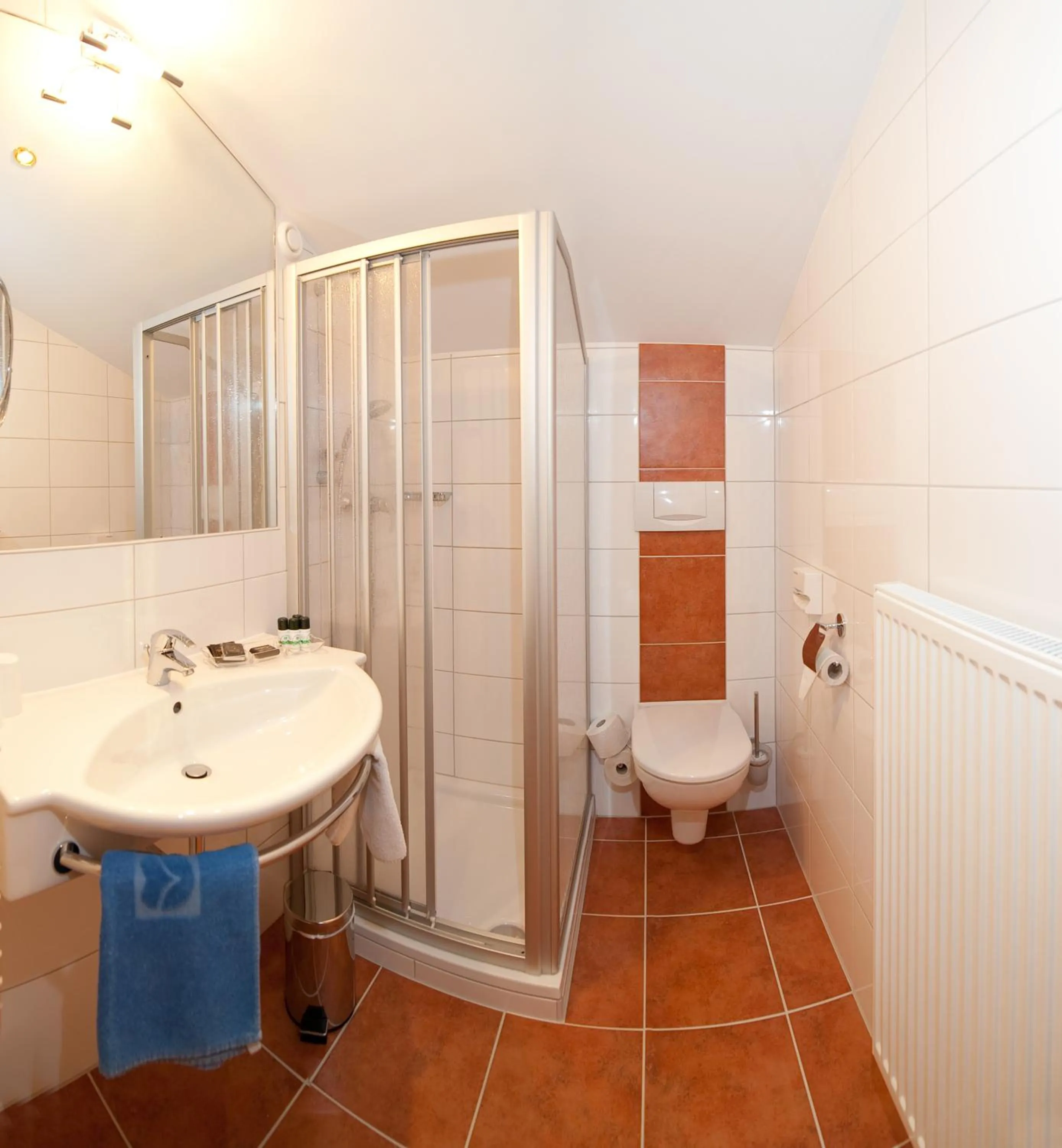 Toilet in Schi- und Wanderhotel Berghof