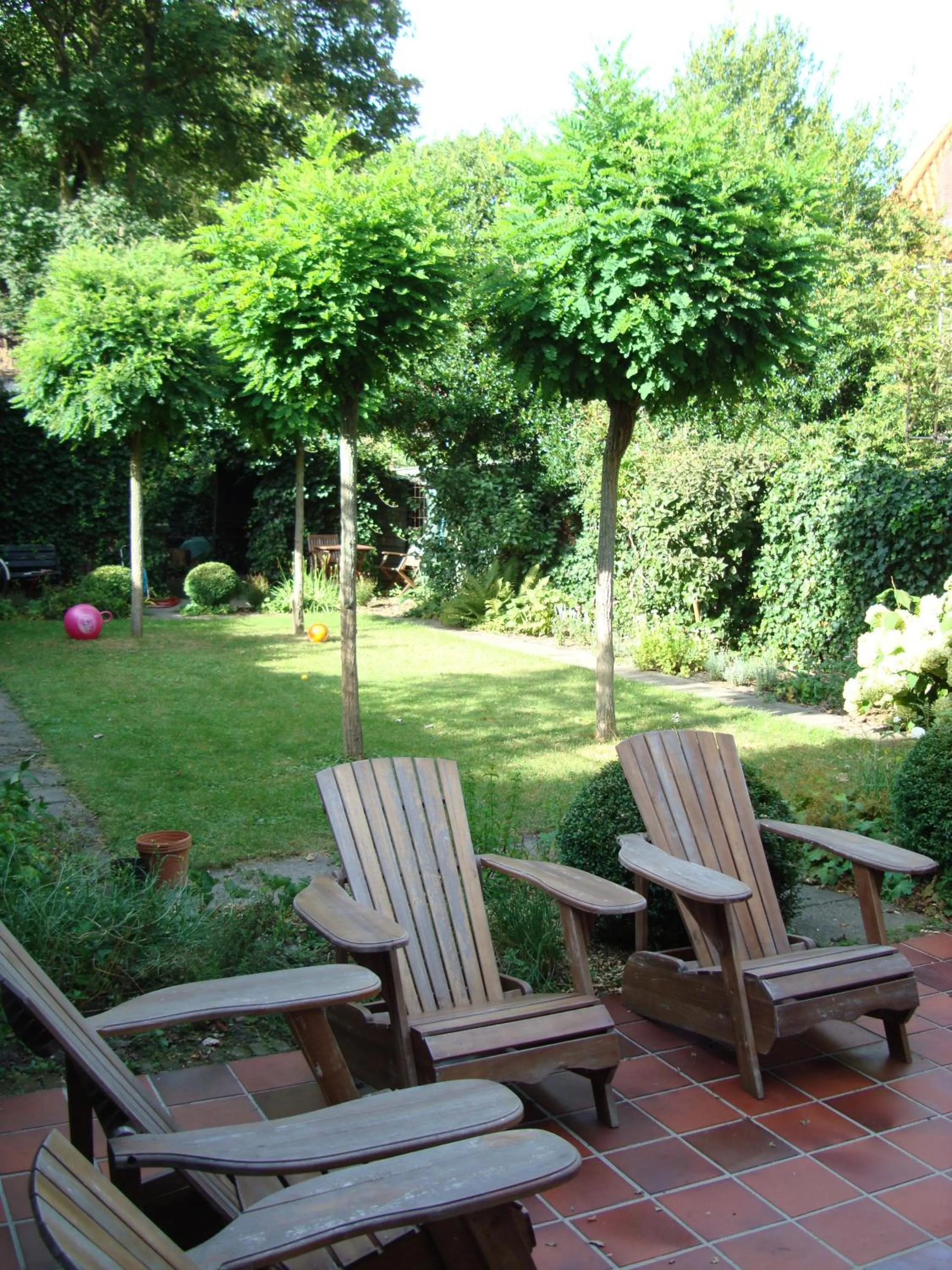 Garden in Boutiquehotel Sycamore - Protected City View - Free Parking