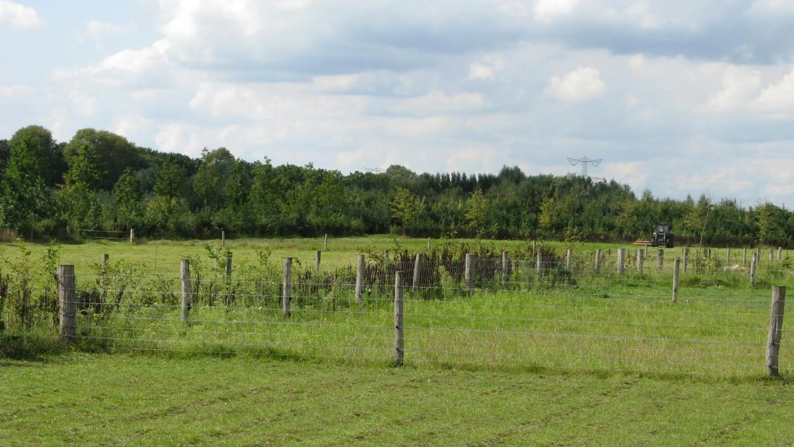 Garden in Antonius Hoeve