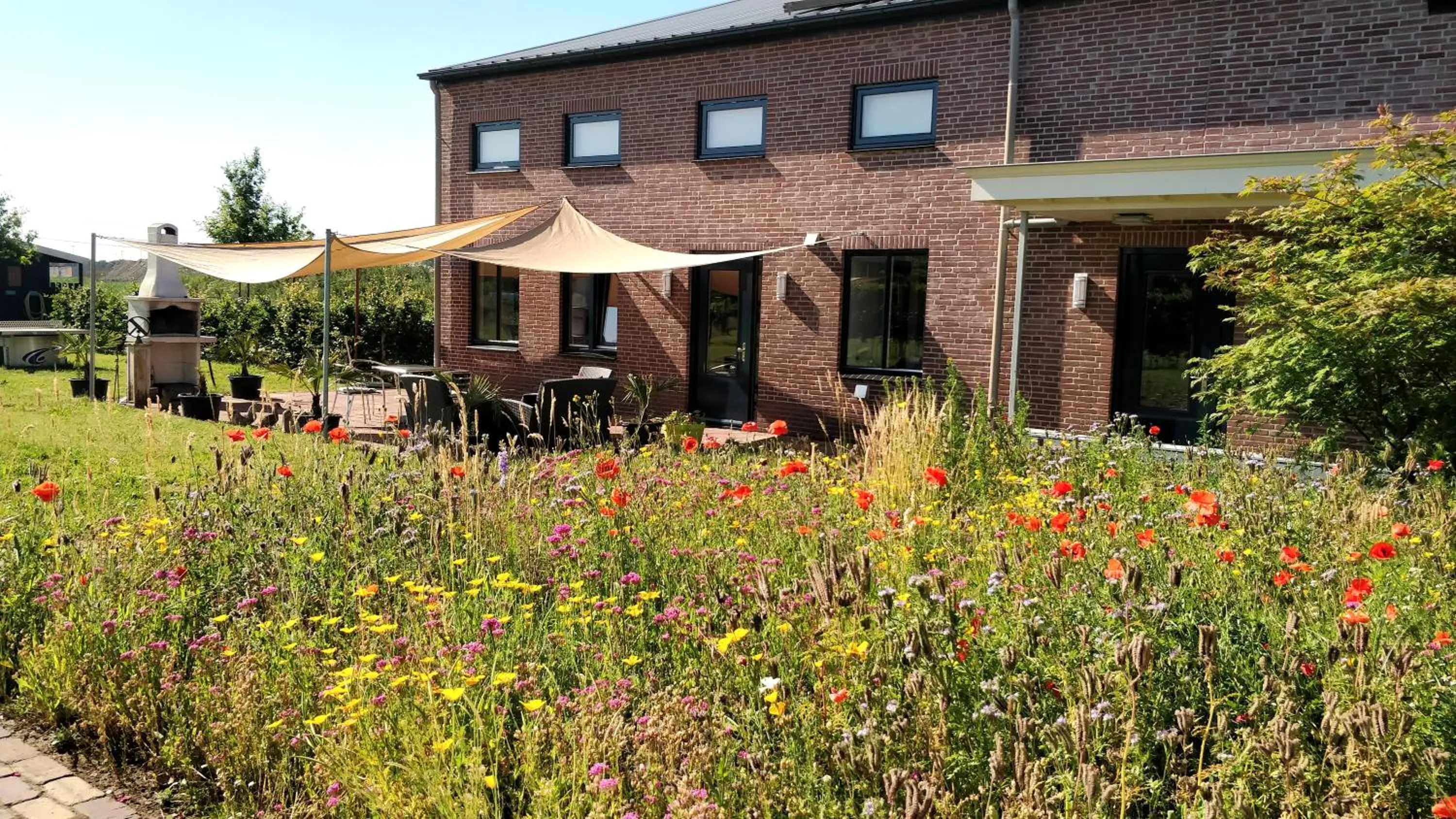 Summer in Antonius Hoeve