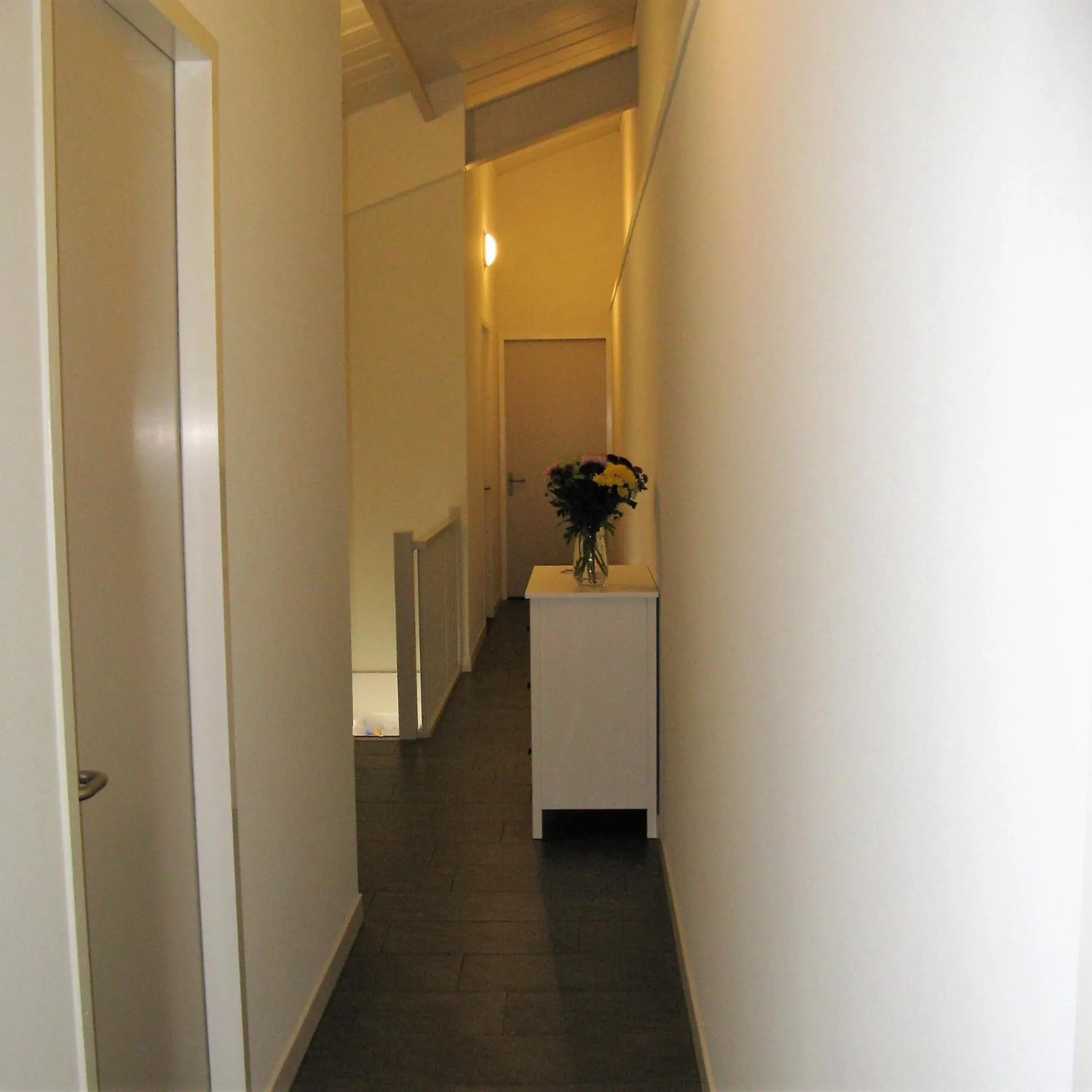 Property building in Antonius Hoeve