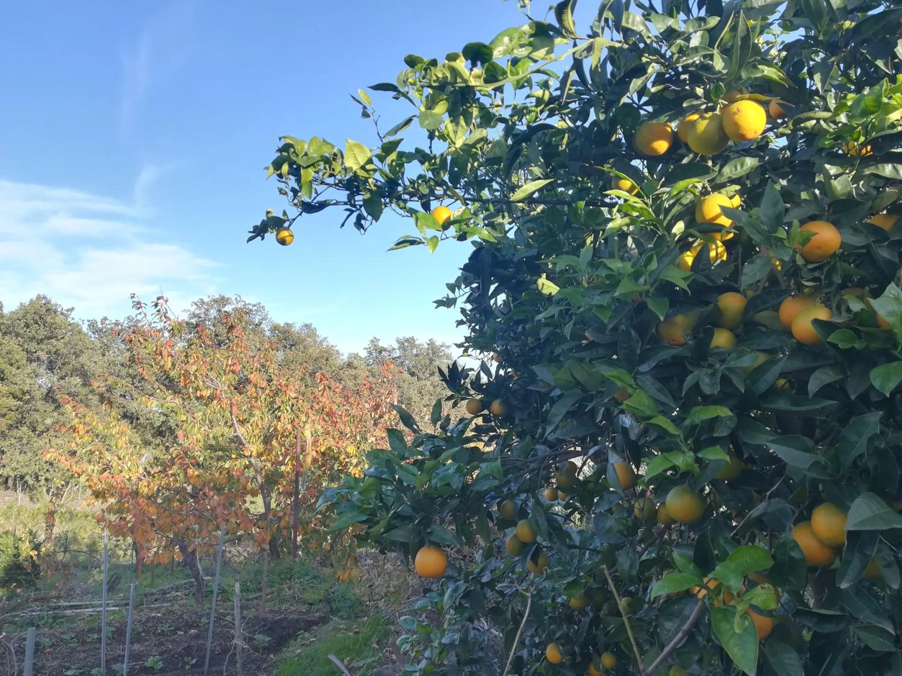 B&B la spiaggetta di Stazzo