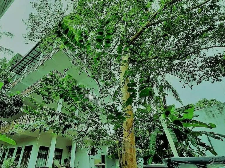 Bird's eye view in Turtle Paradise