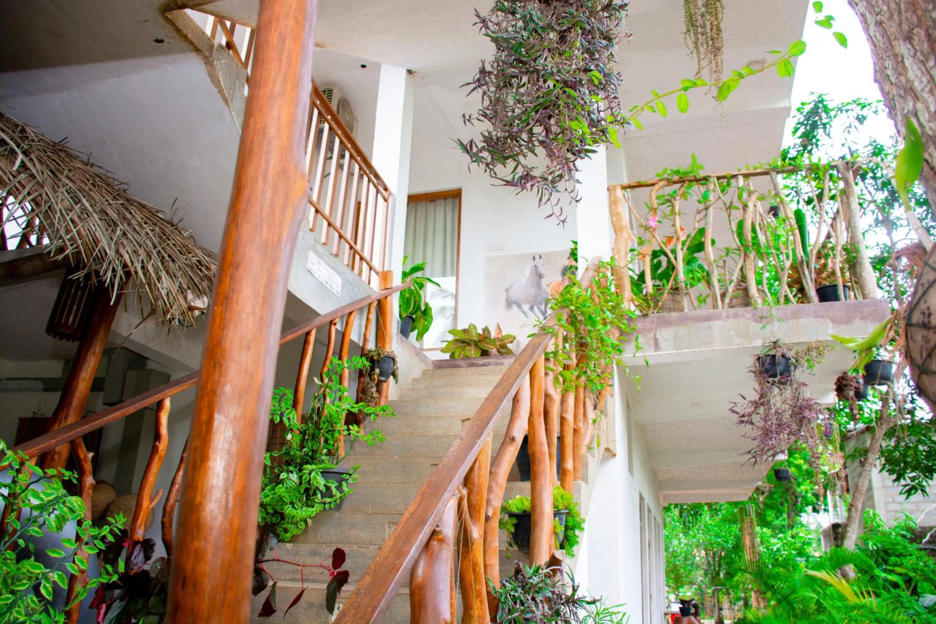 Property building in Turtle Paradise